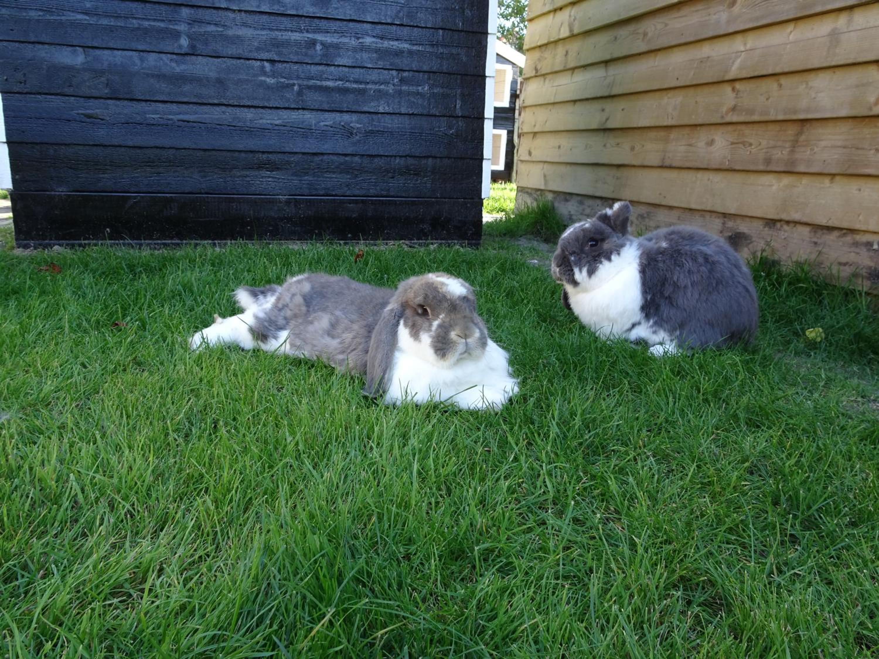 Photo 35