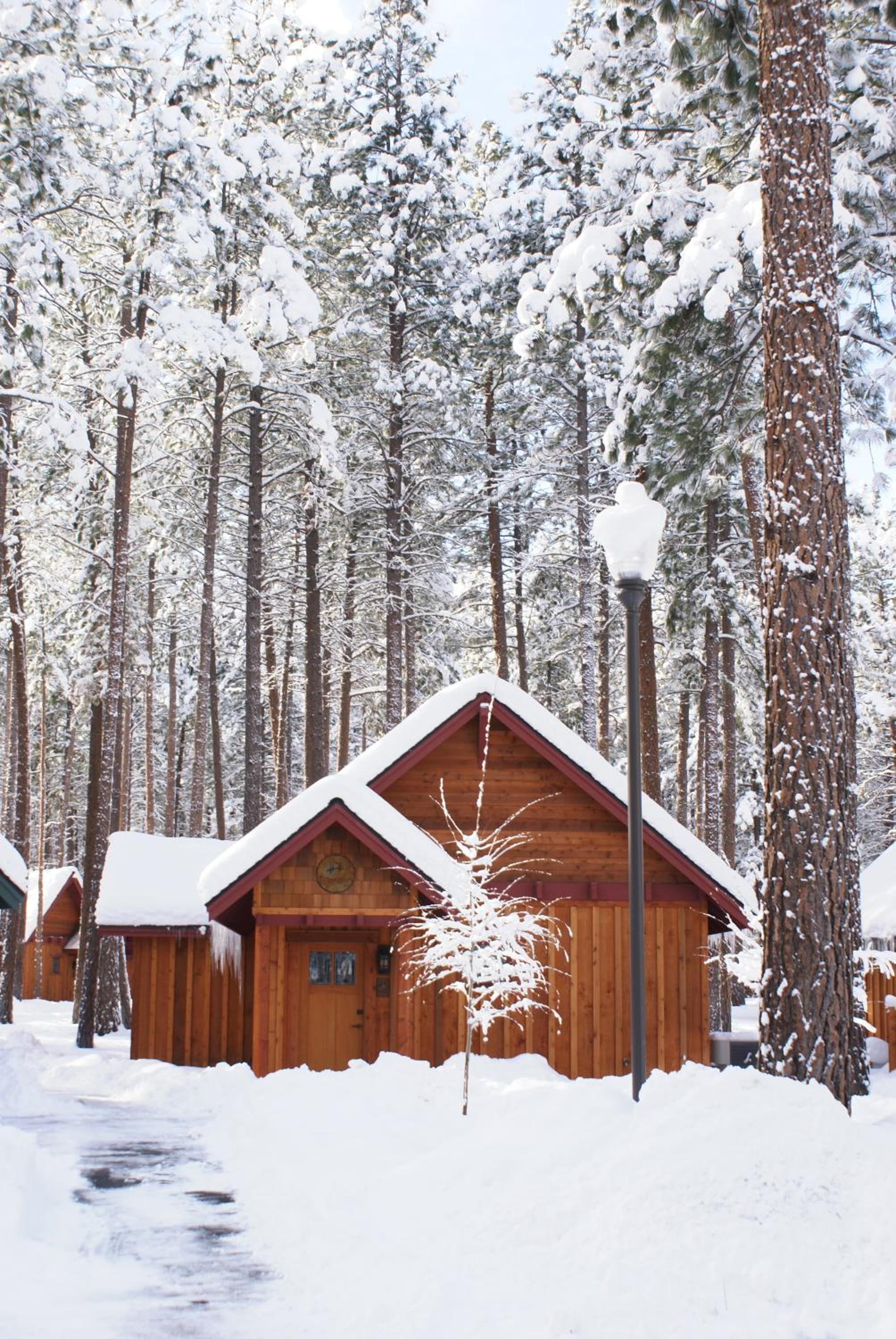 FivePine Lodge