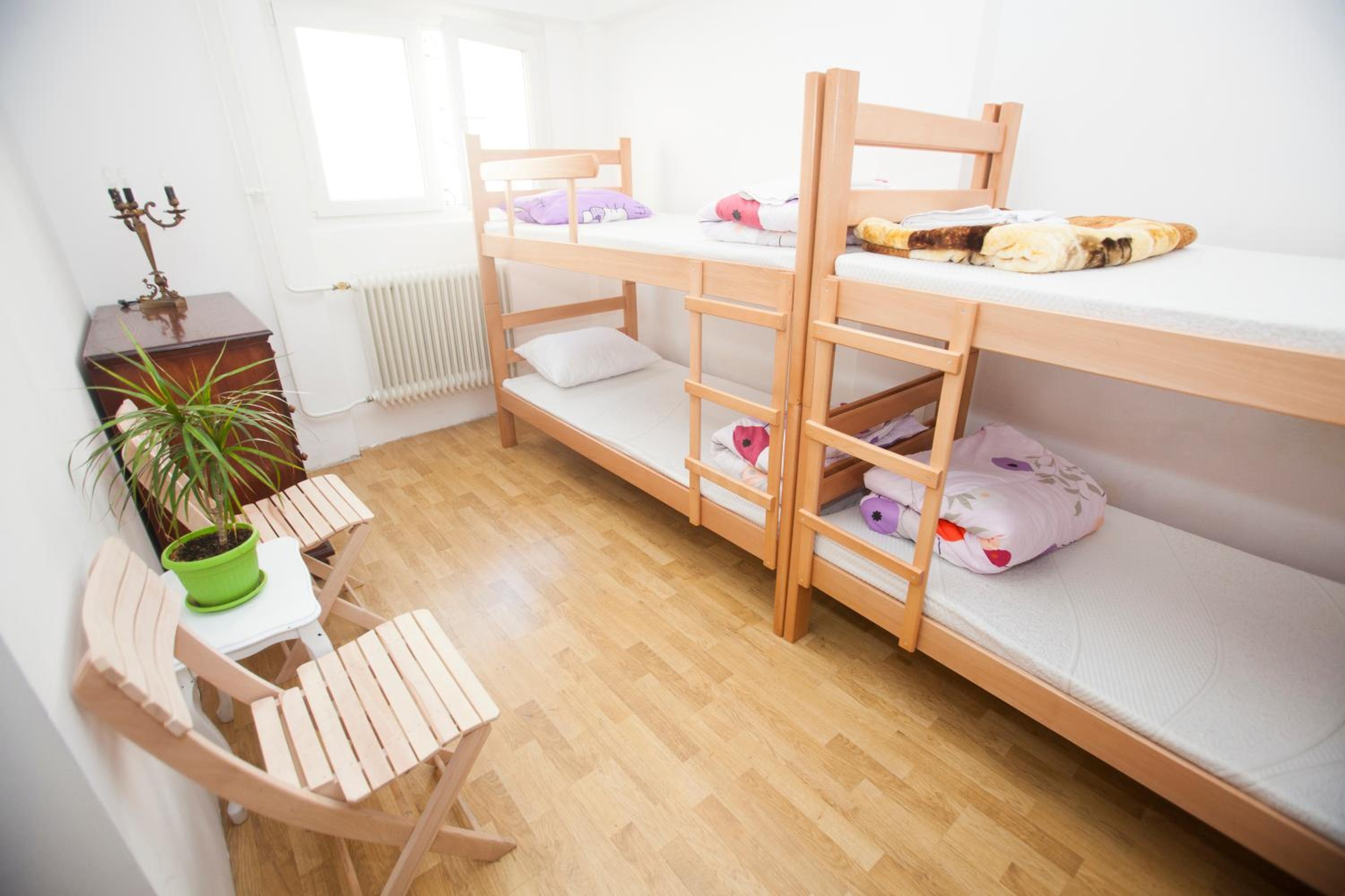 Hostel Jellostone