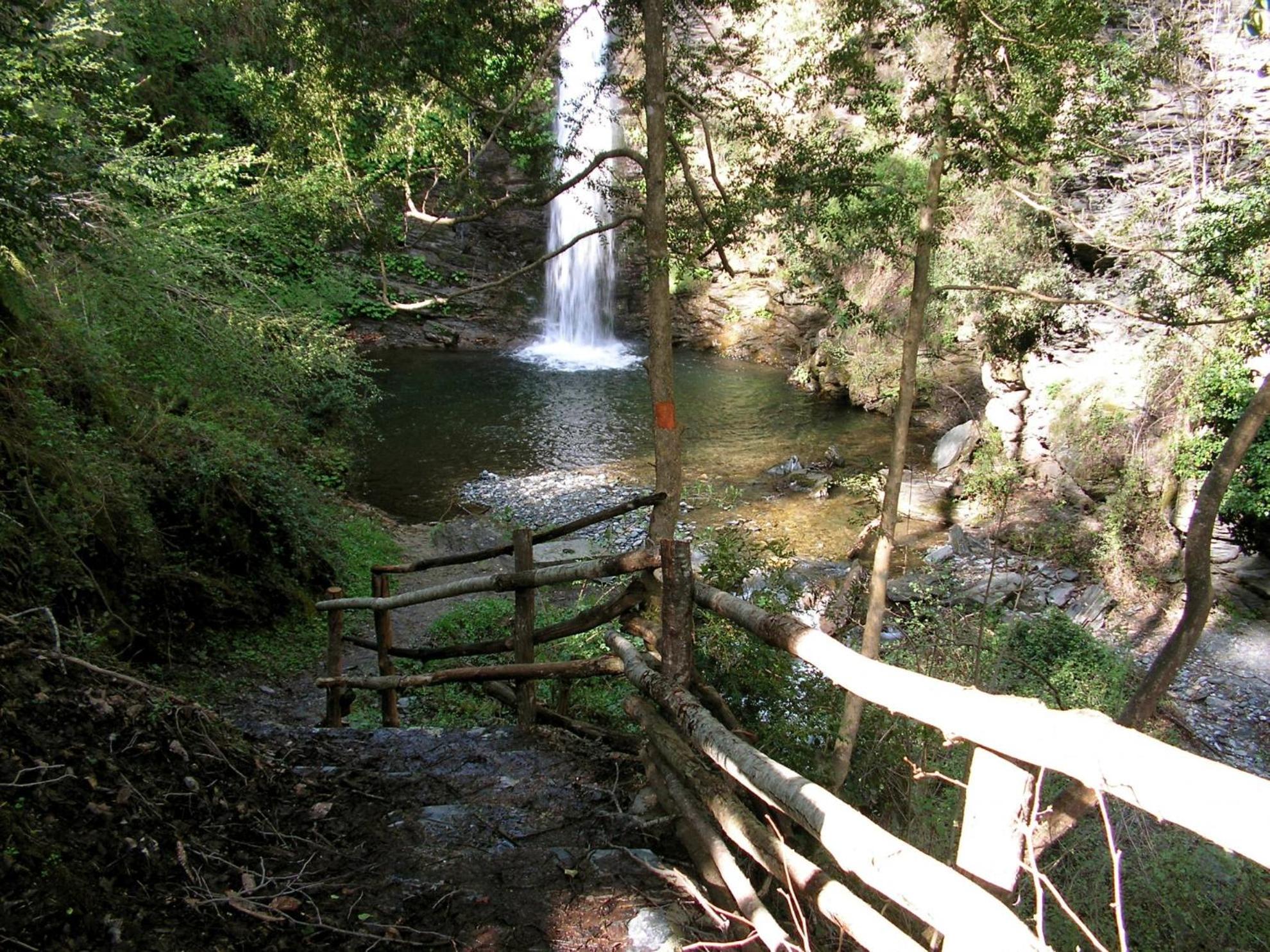 Photo 45