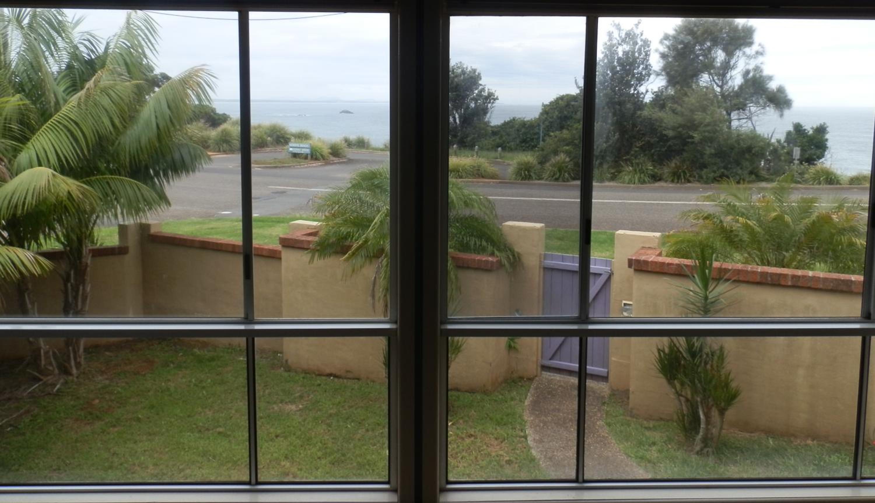 Koala Tree Motel