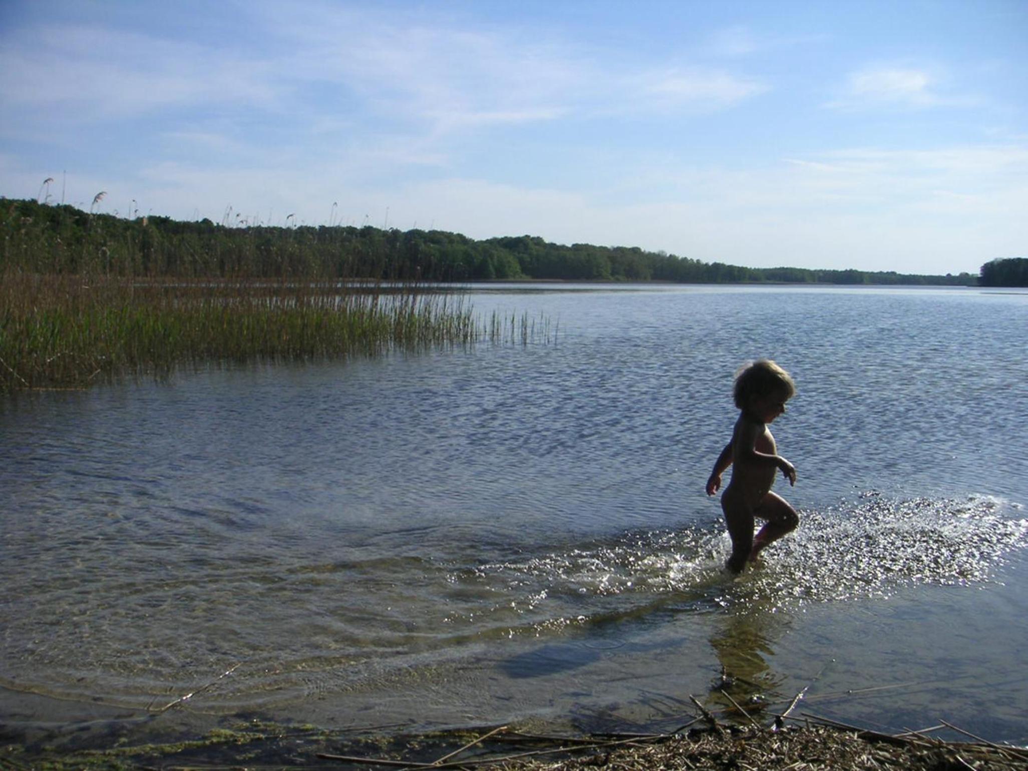 Photo 44