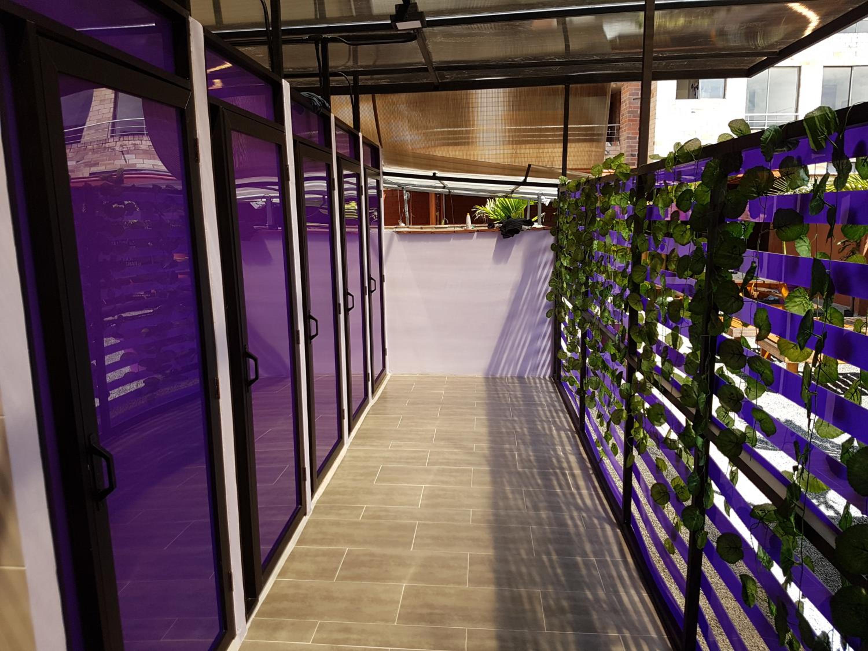 Purple Monkey Hostel