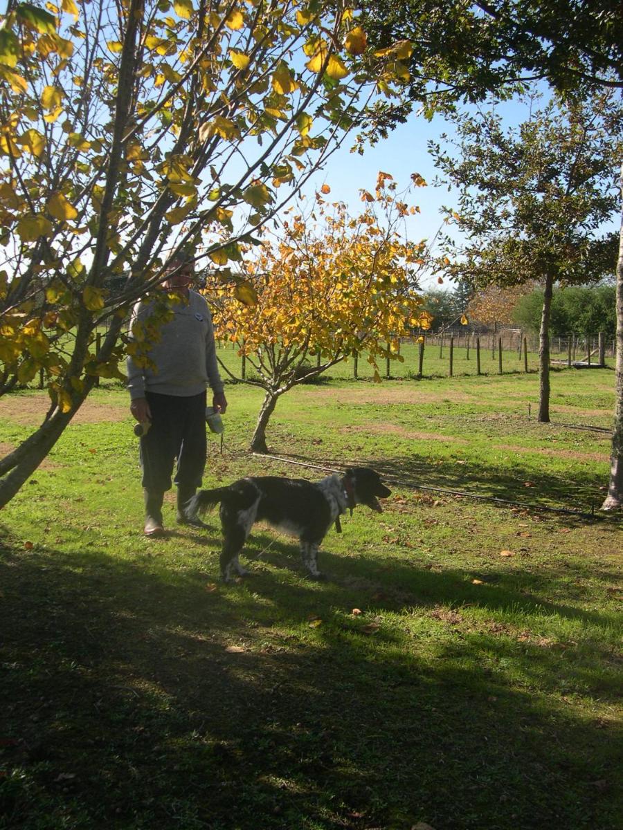 Photo 12