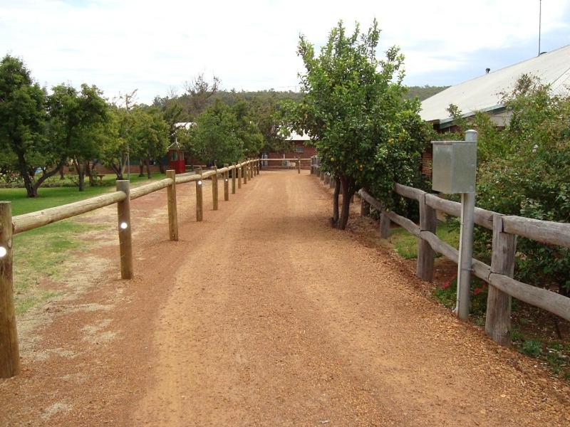 Photo 17