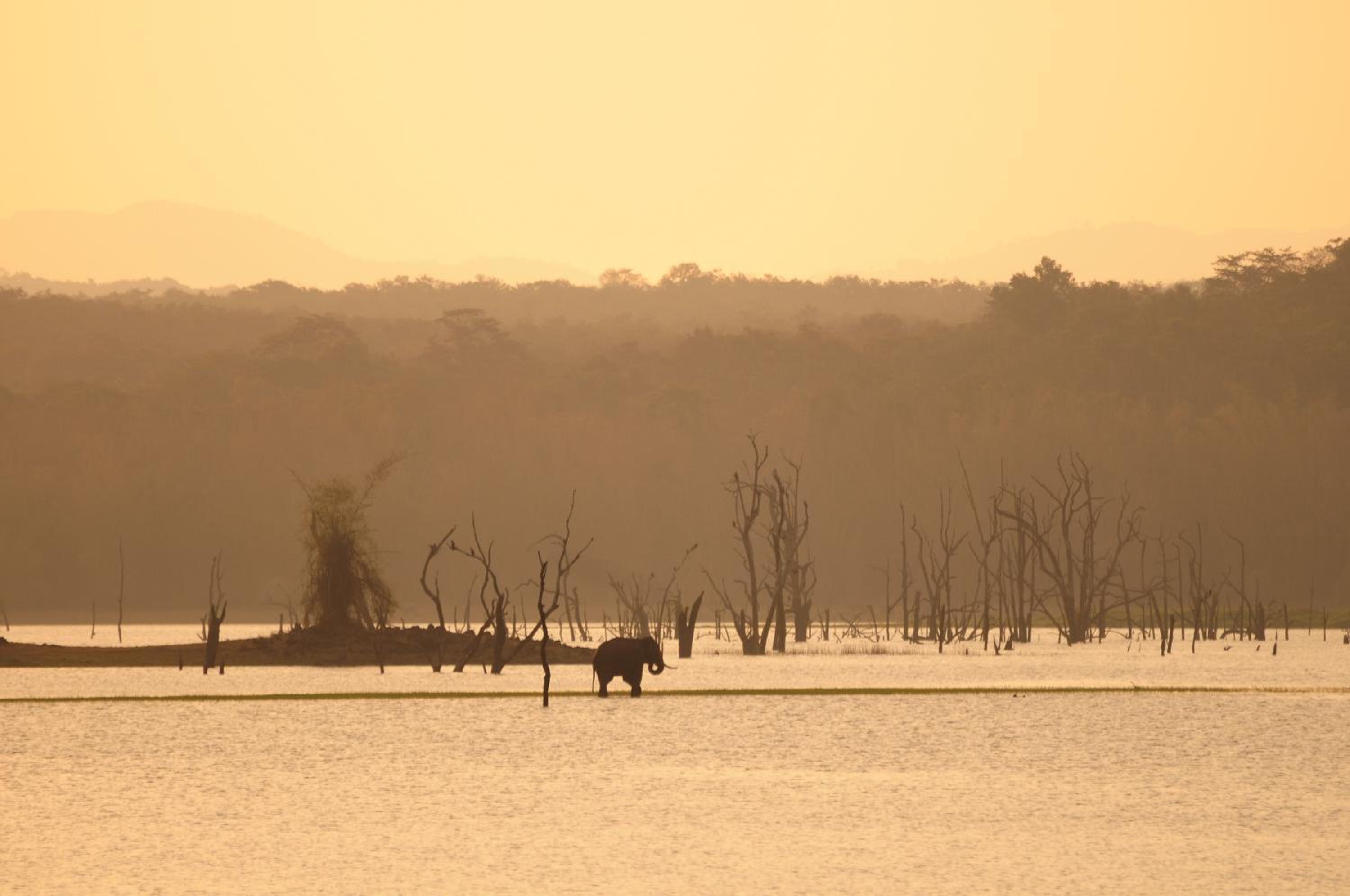 Evolve Back Kabini