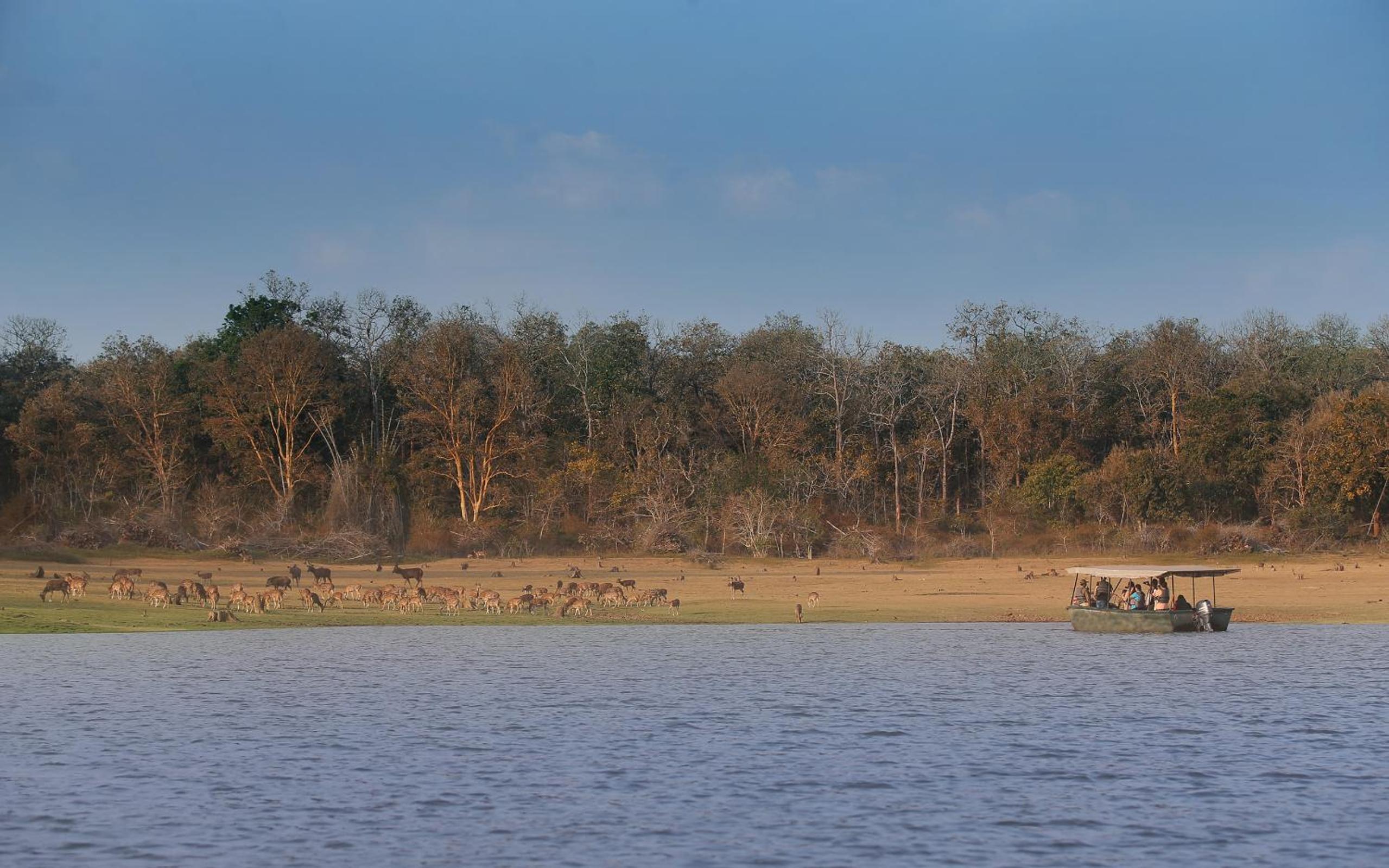Evolve Back Kabini