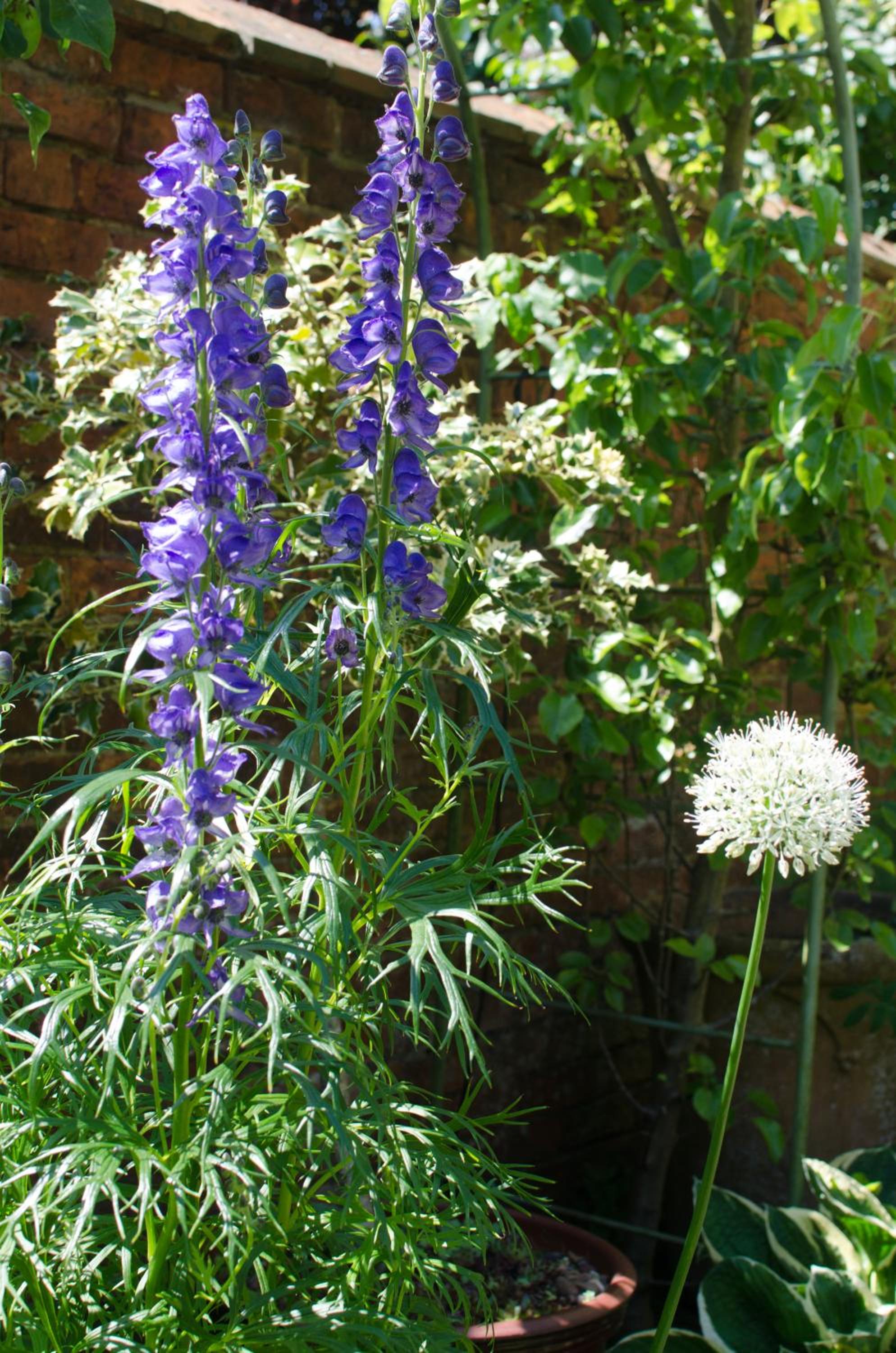Photo 22