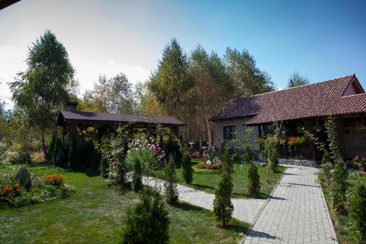 Photo 21
