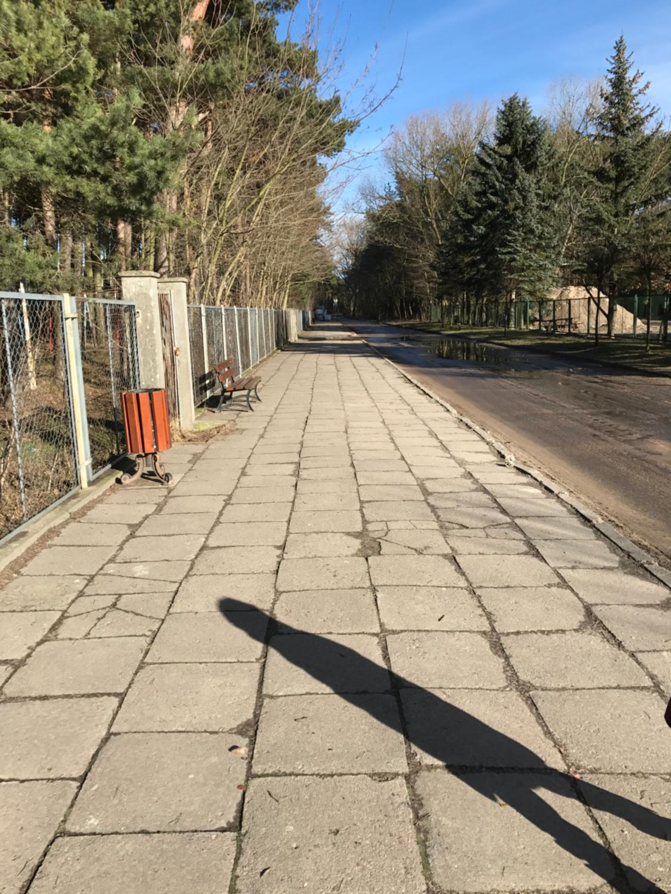 Photo 29