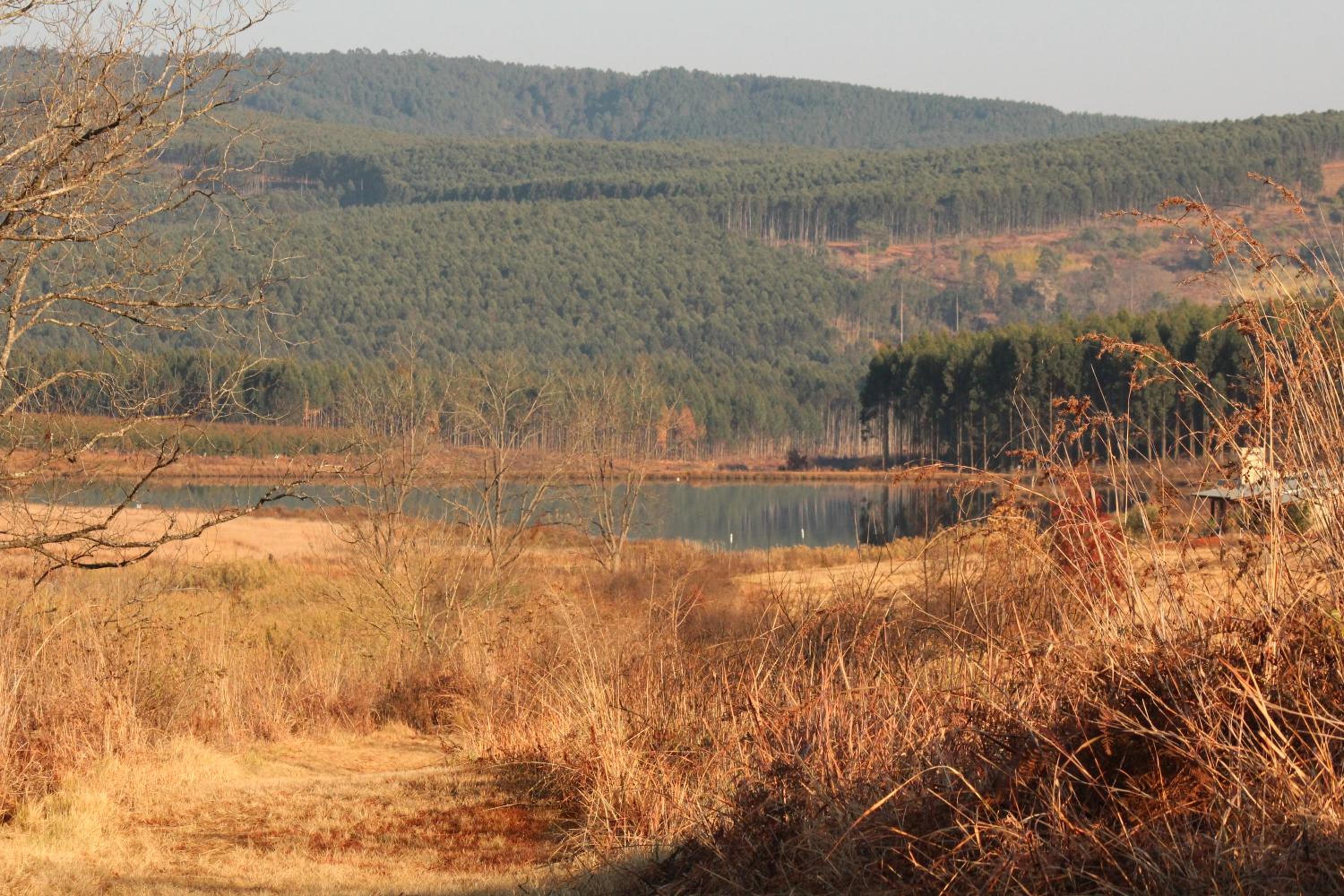 Klipkopje Guest Cottage