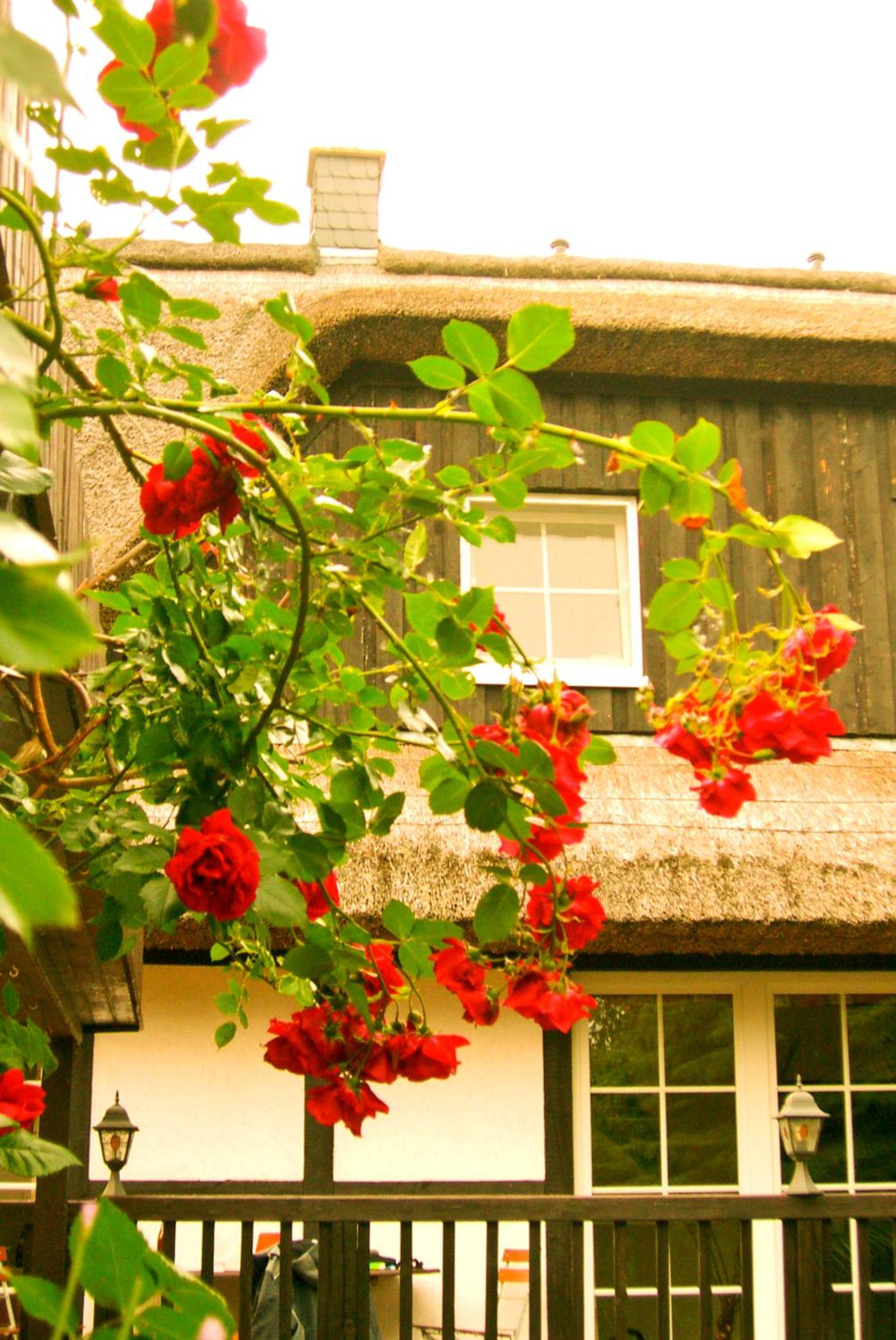 Hof Kranichstein
