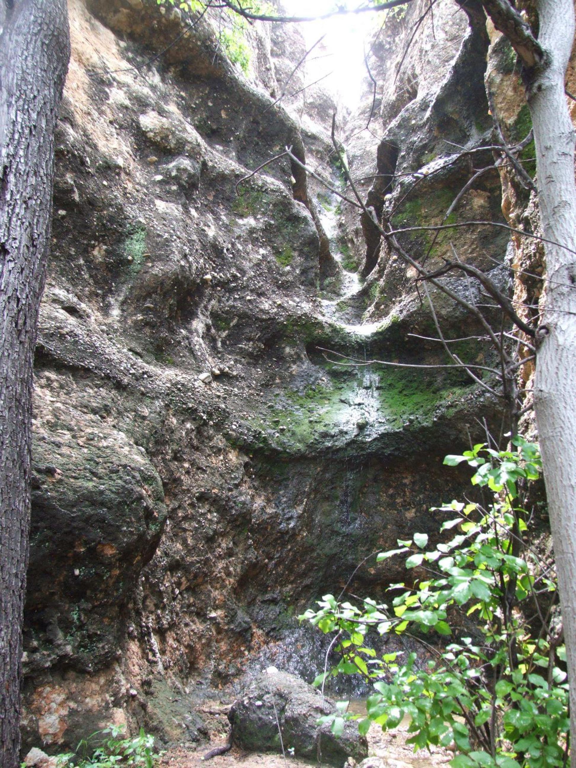 Photo 47