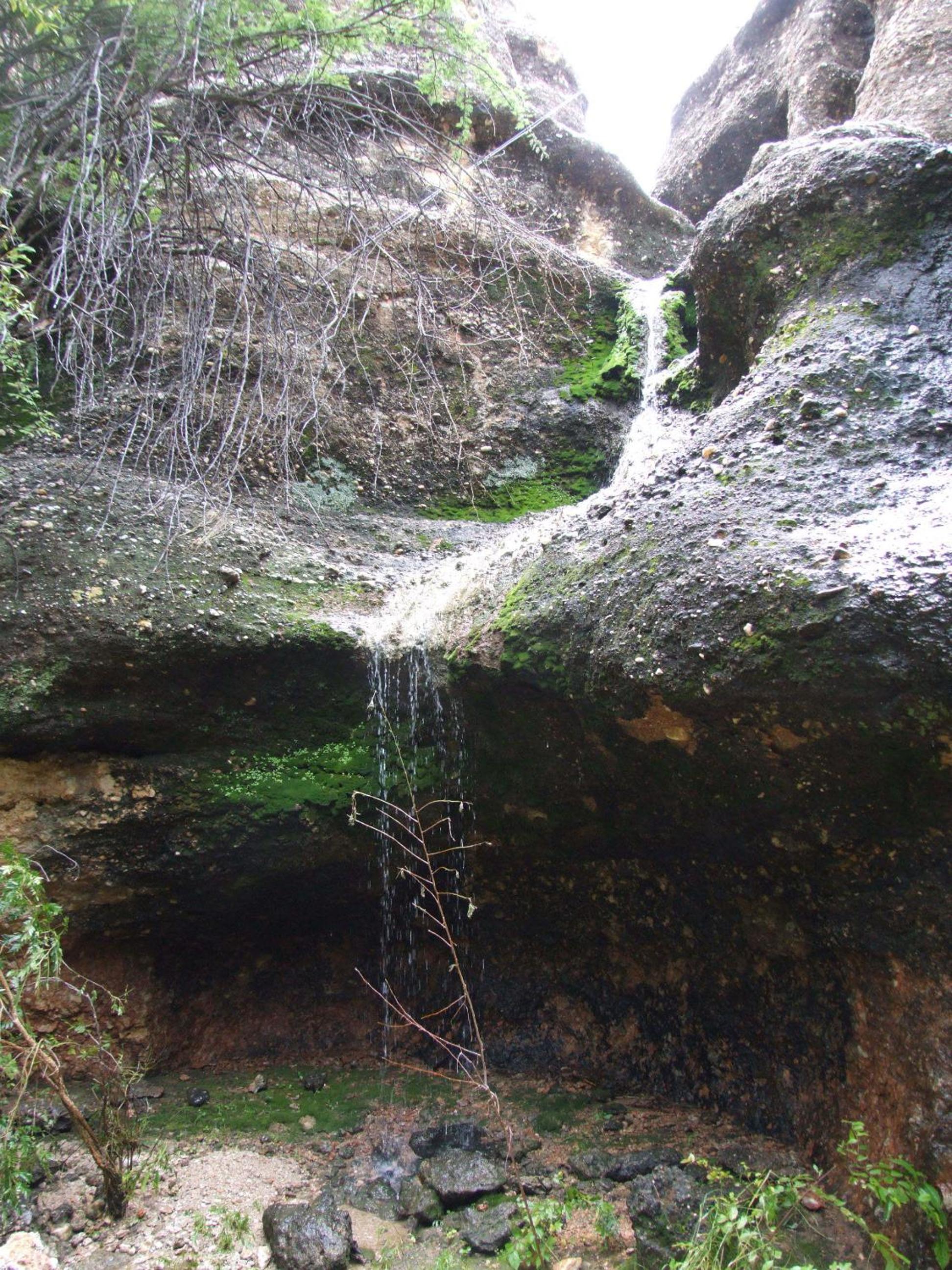 Photo 48