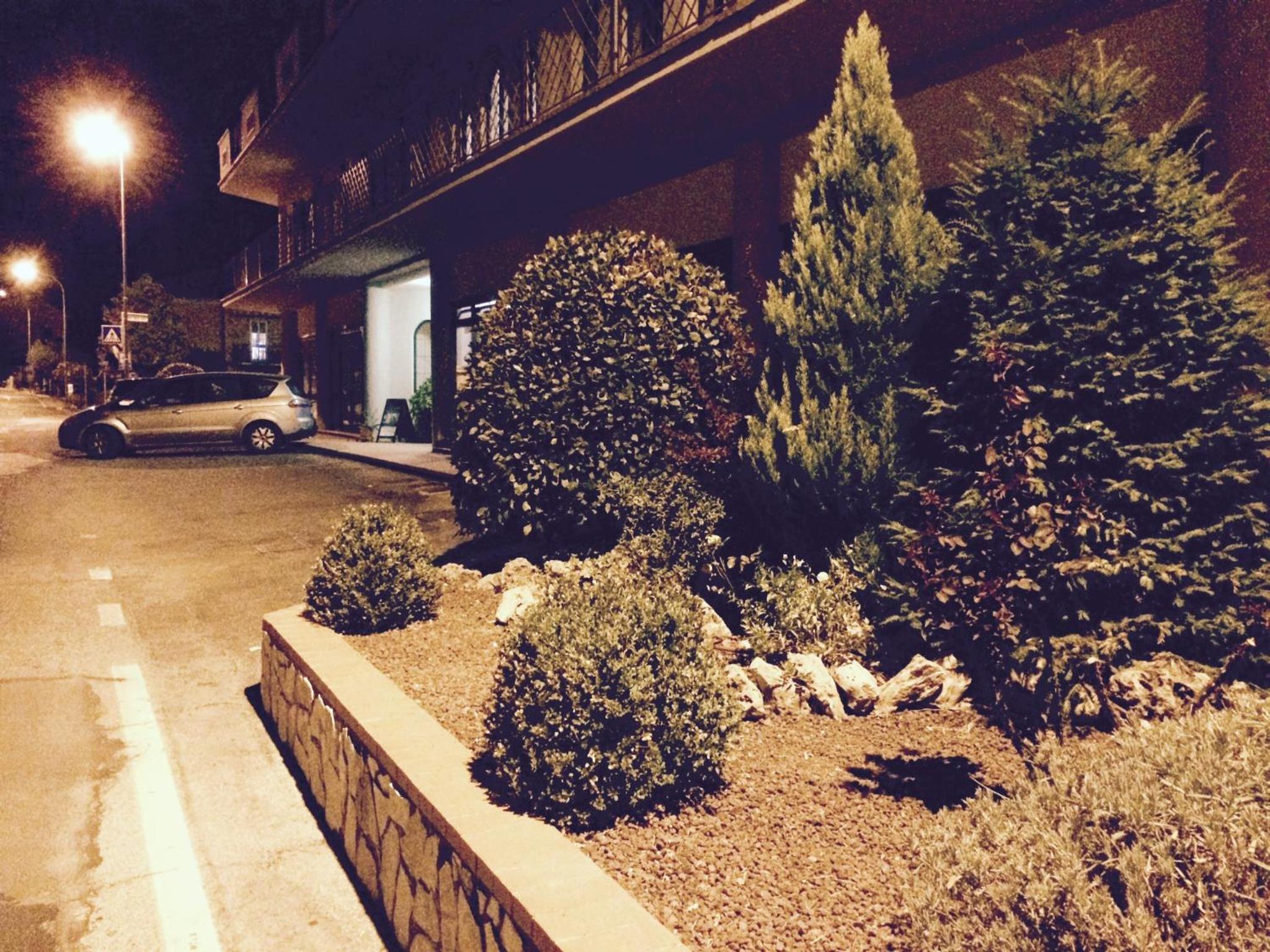Photo 31