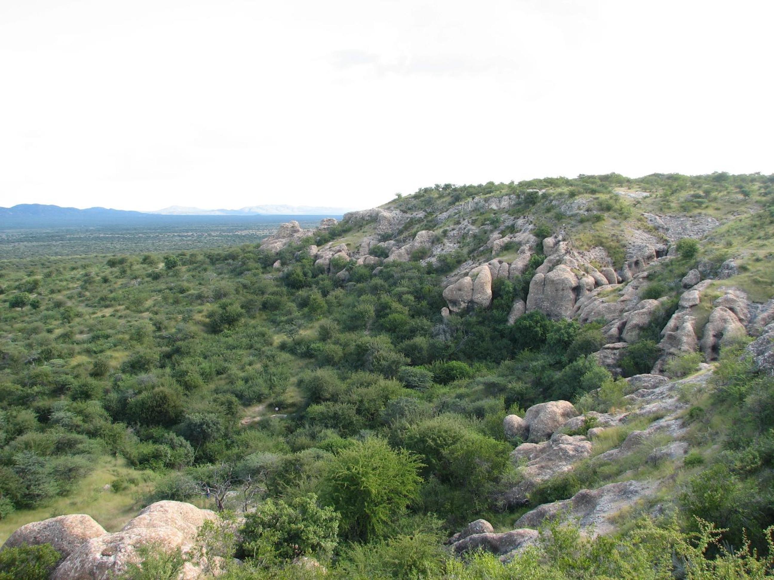 Photo 44