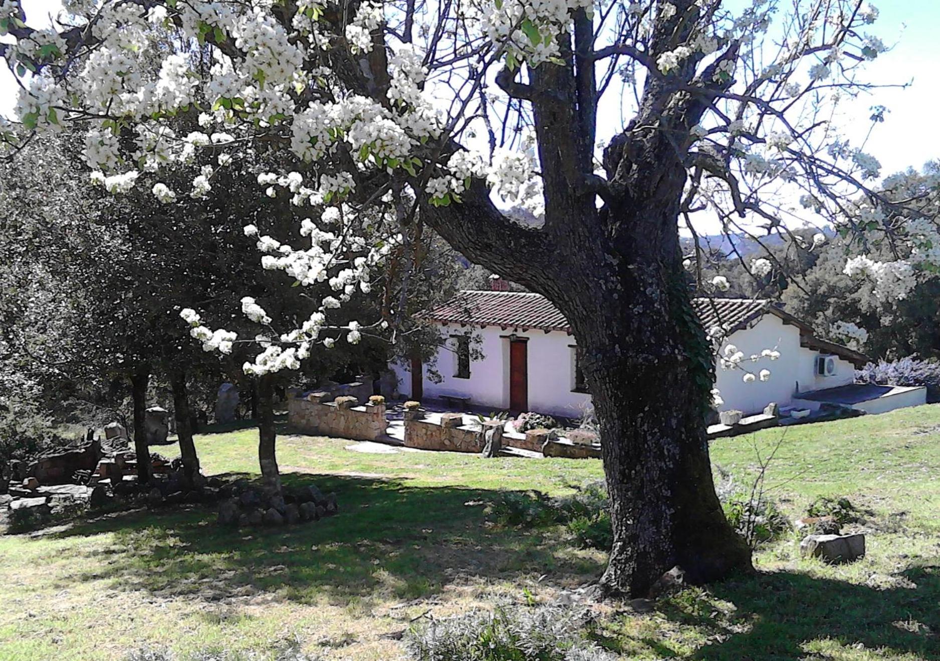 B&B I Menhir