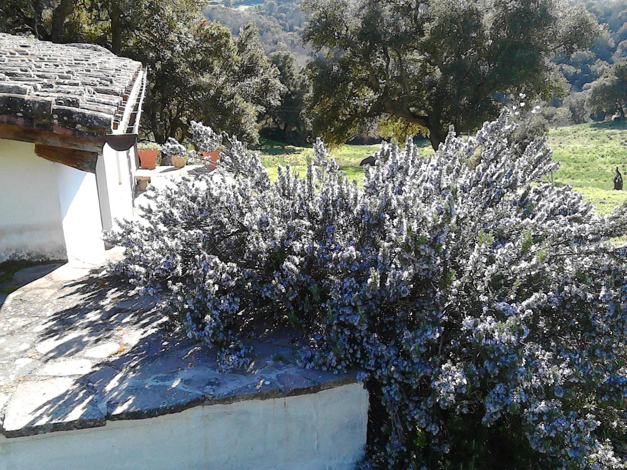 B&B I Menhir