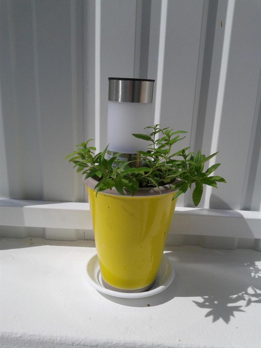 Photo 33
