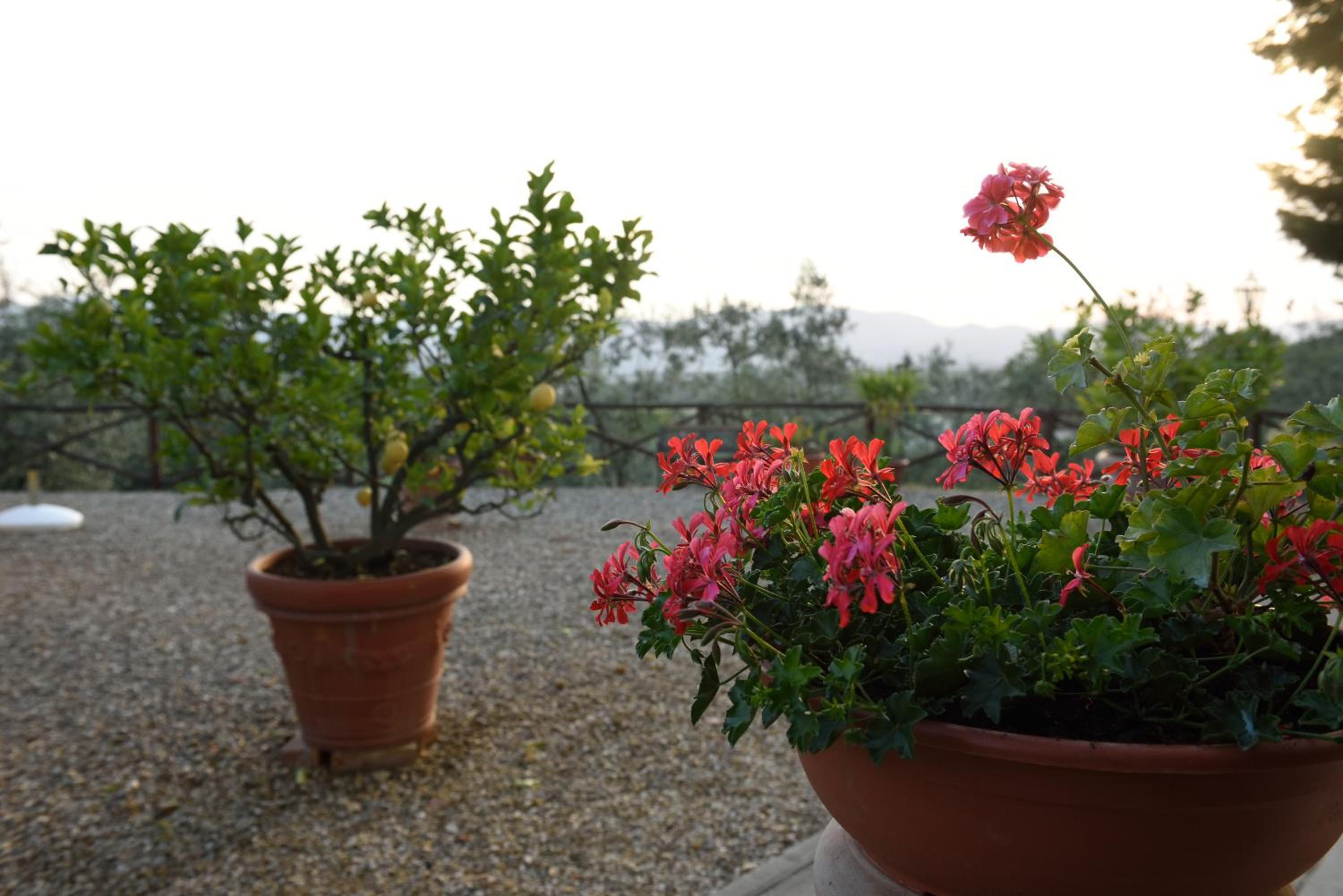 Agriturismo La Casuccia