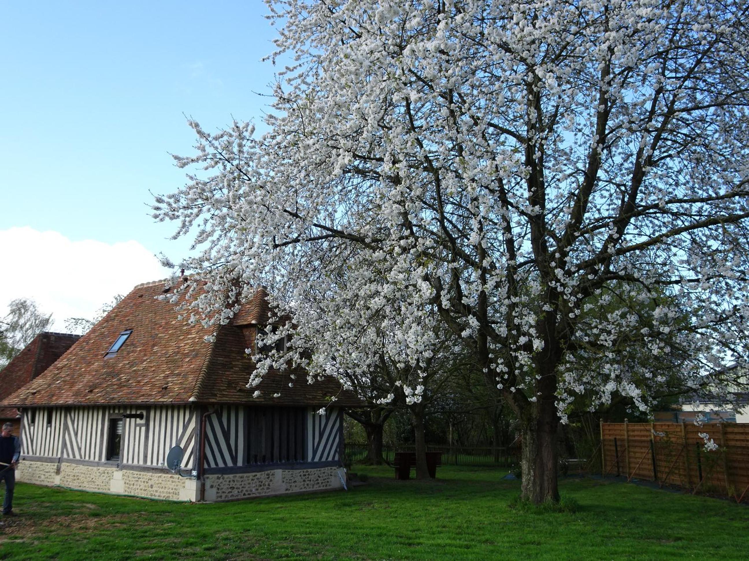 Gîte Falafa Normand view 4