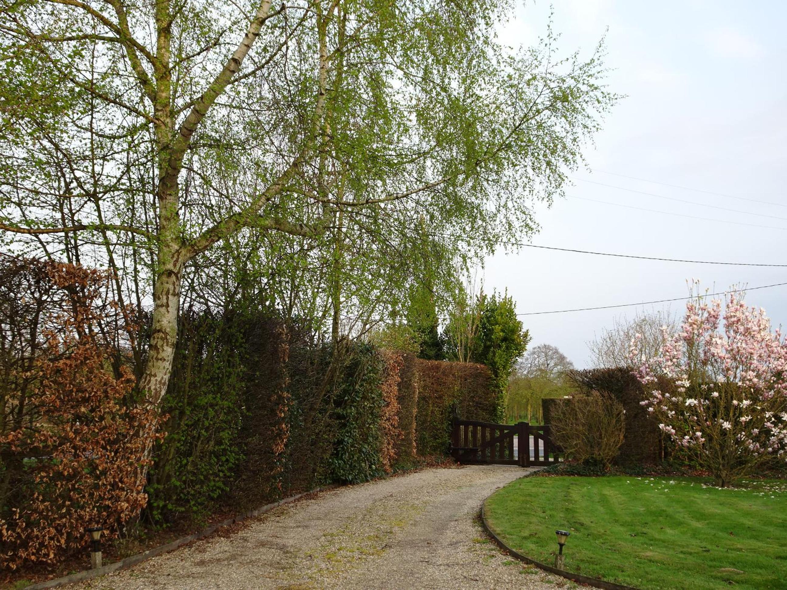 Photo 6