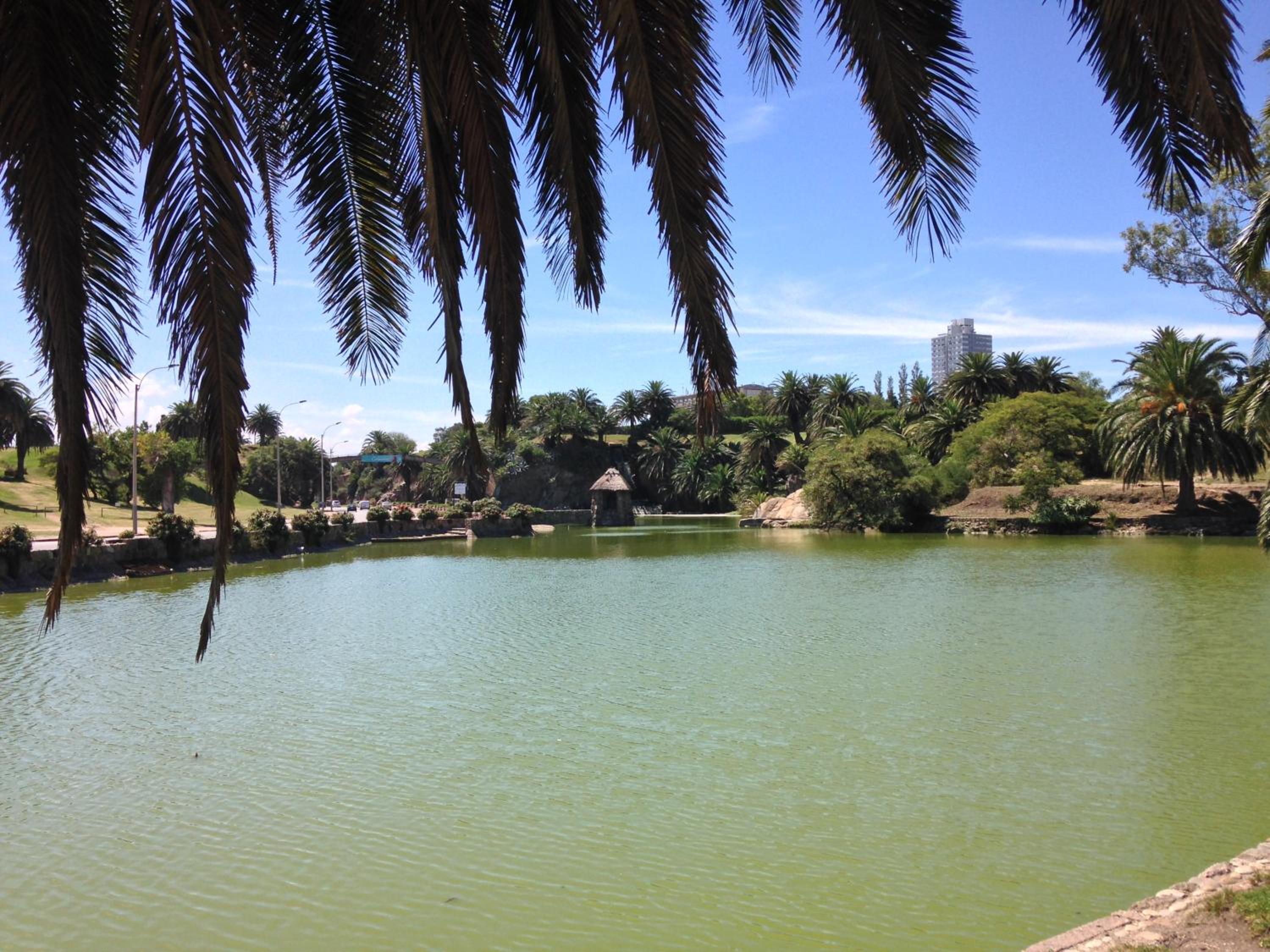 Photo 22
