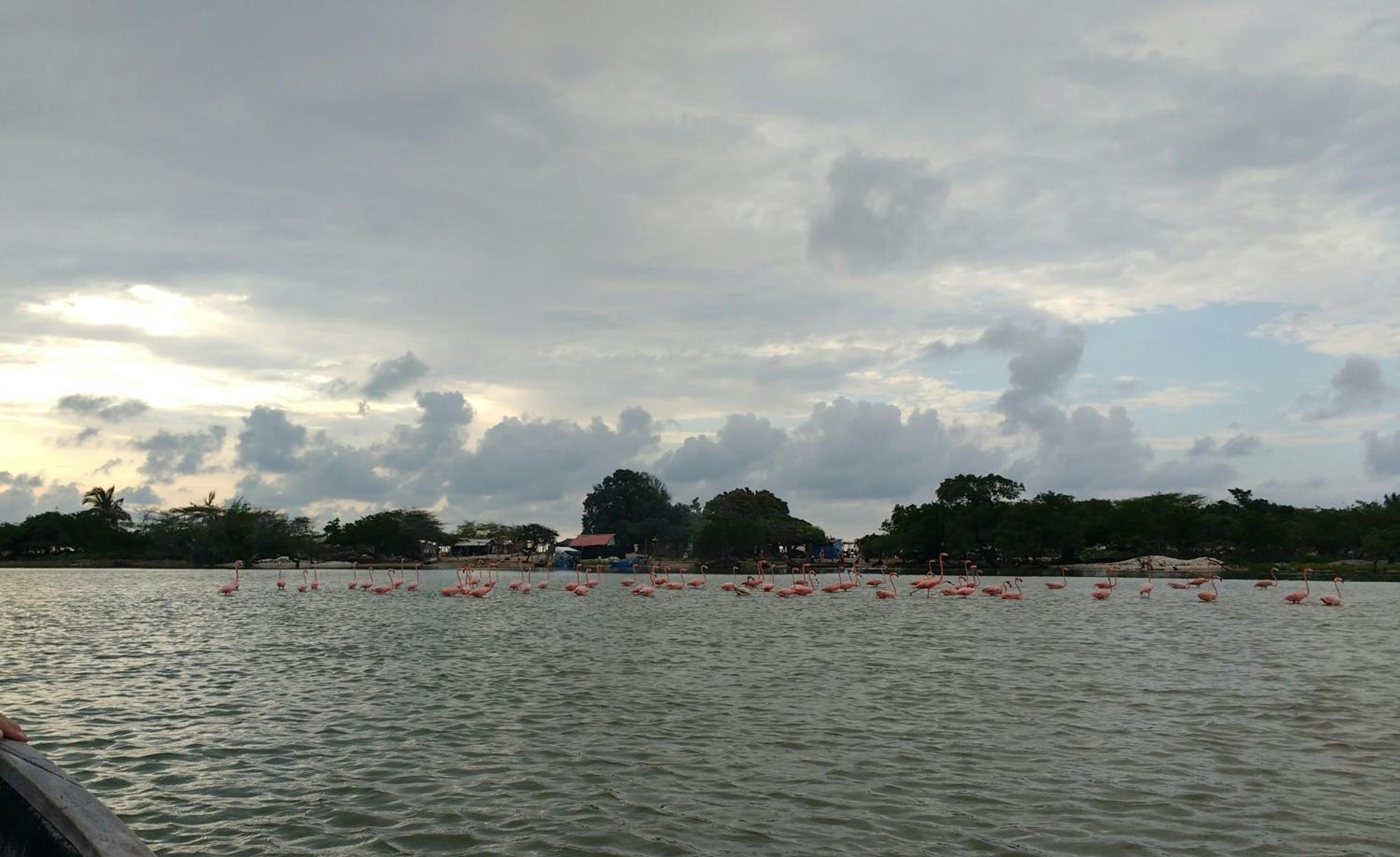 Photo 42
