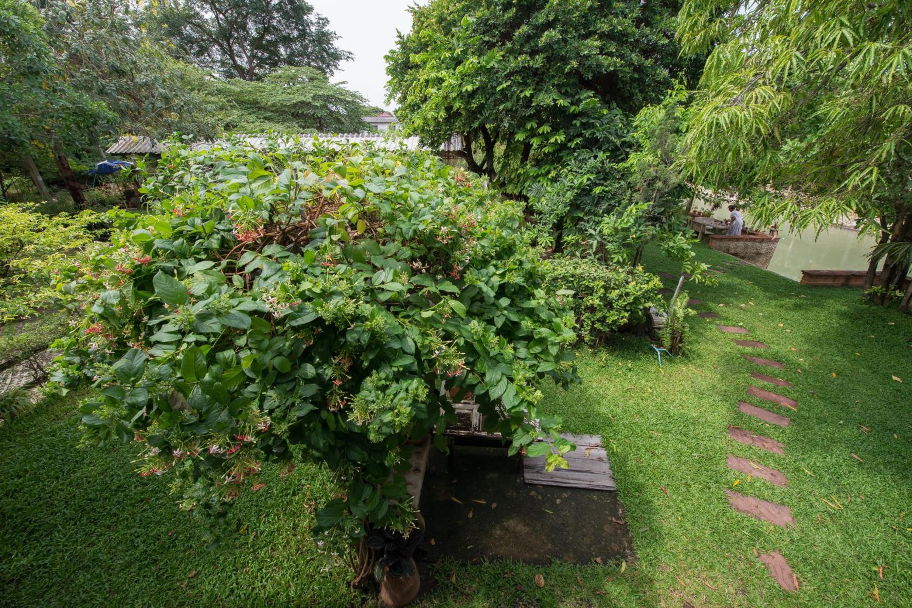Photo 47