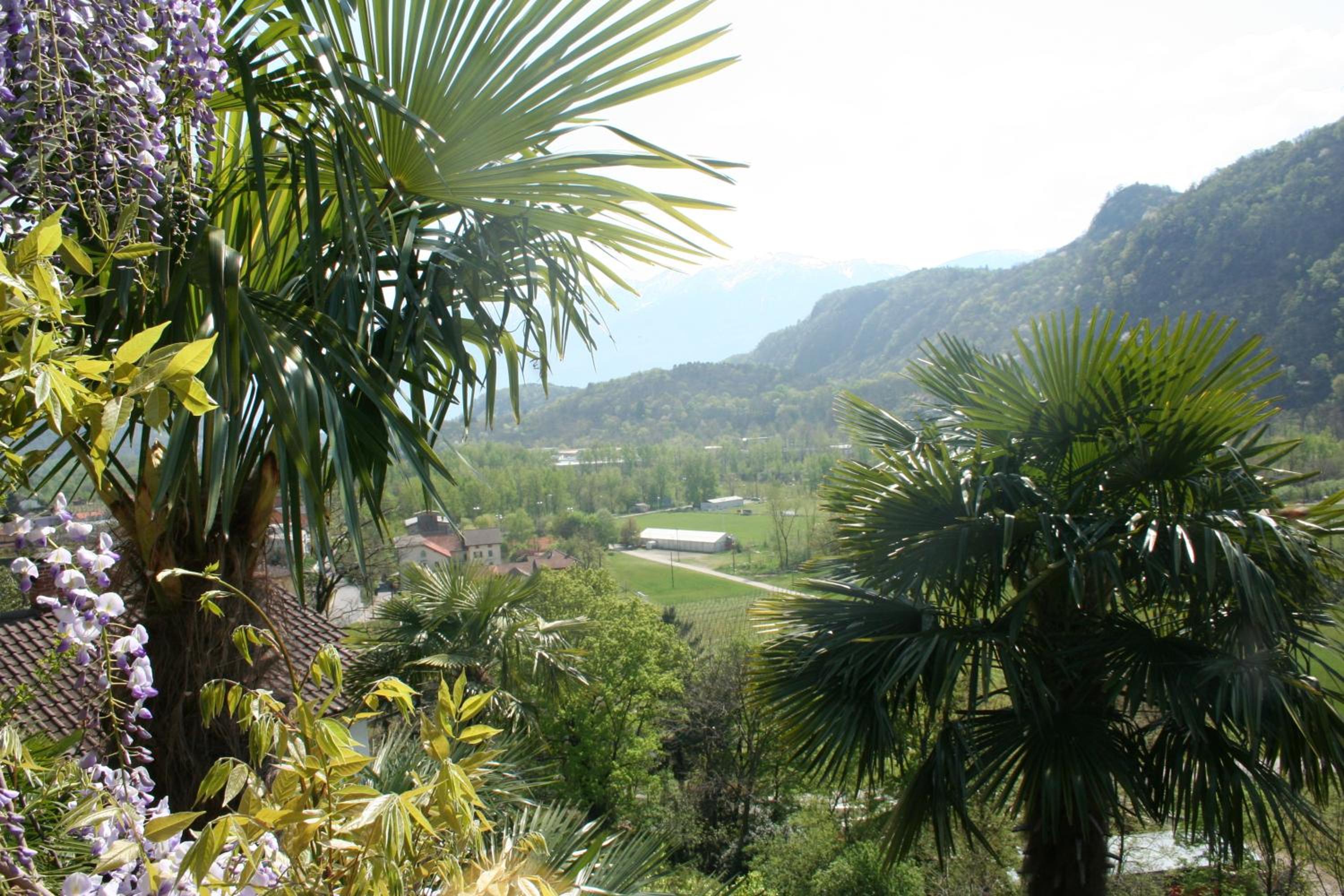 Casa Aries & Studio Aurora - mit Pool, in Cavigliano nur 8 km von Ascona und Locarno entfernt