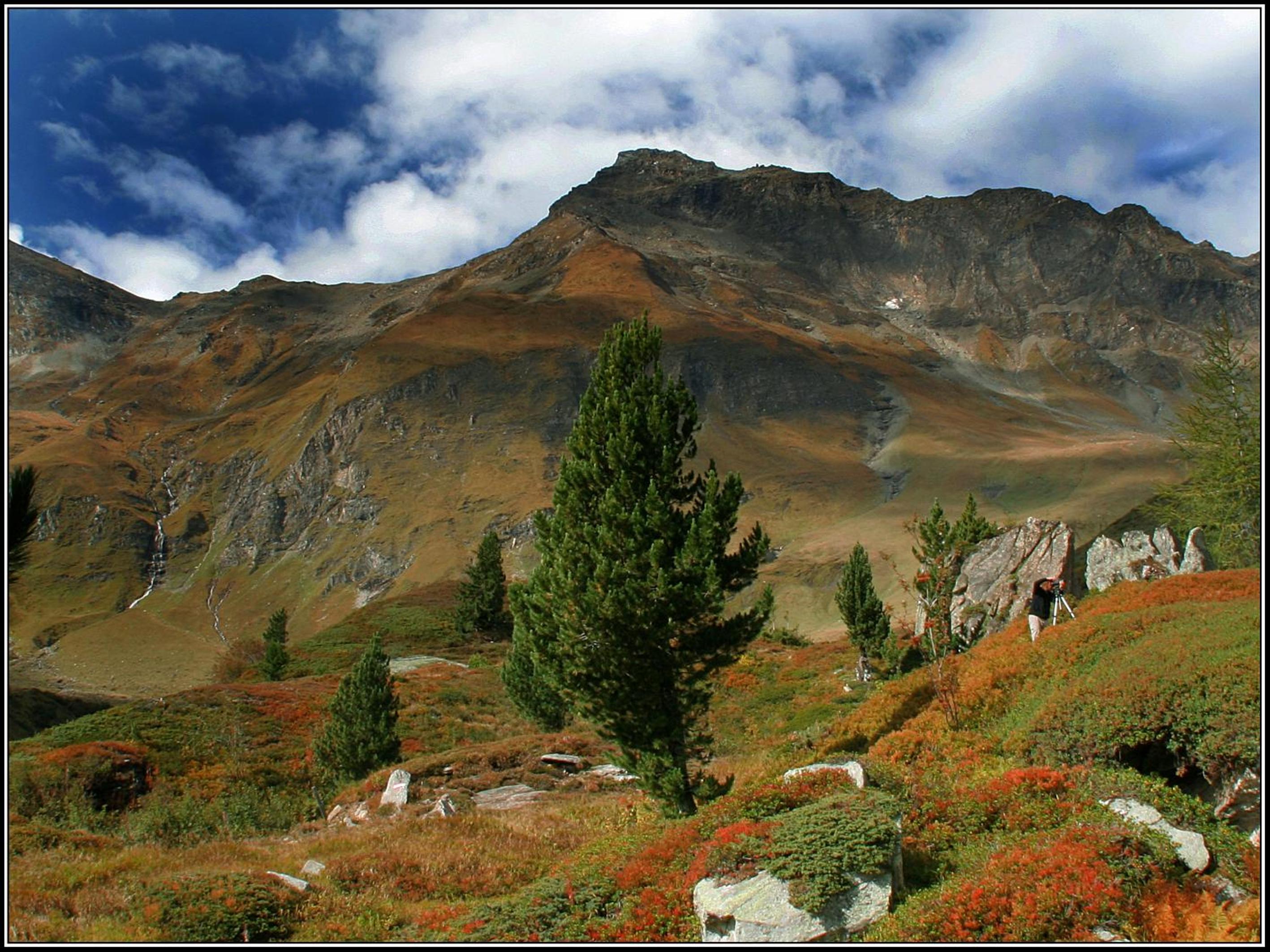 Appartements Alpengarten
