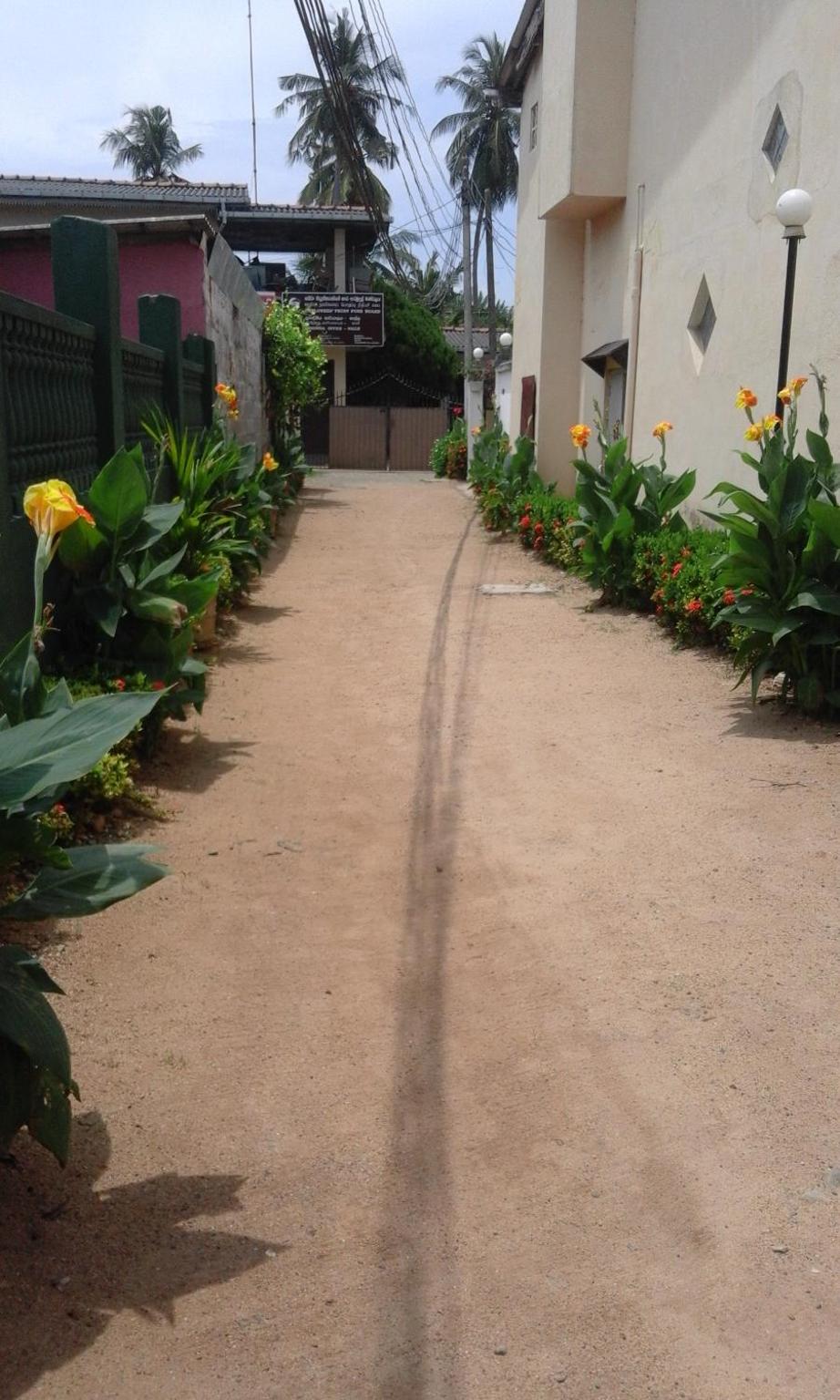 Photo 6