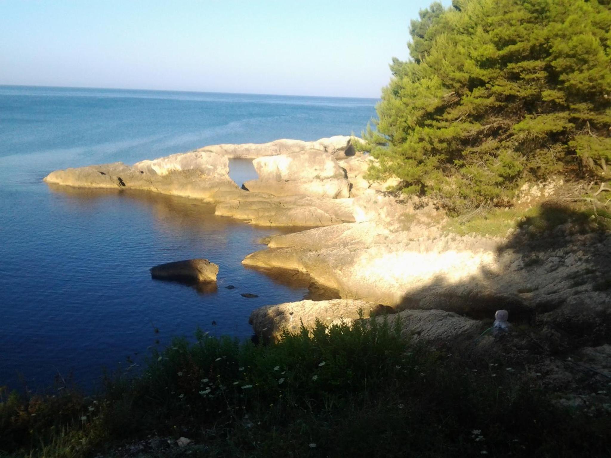 Photo 28