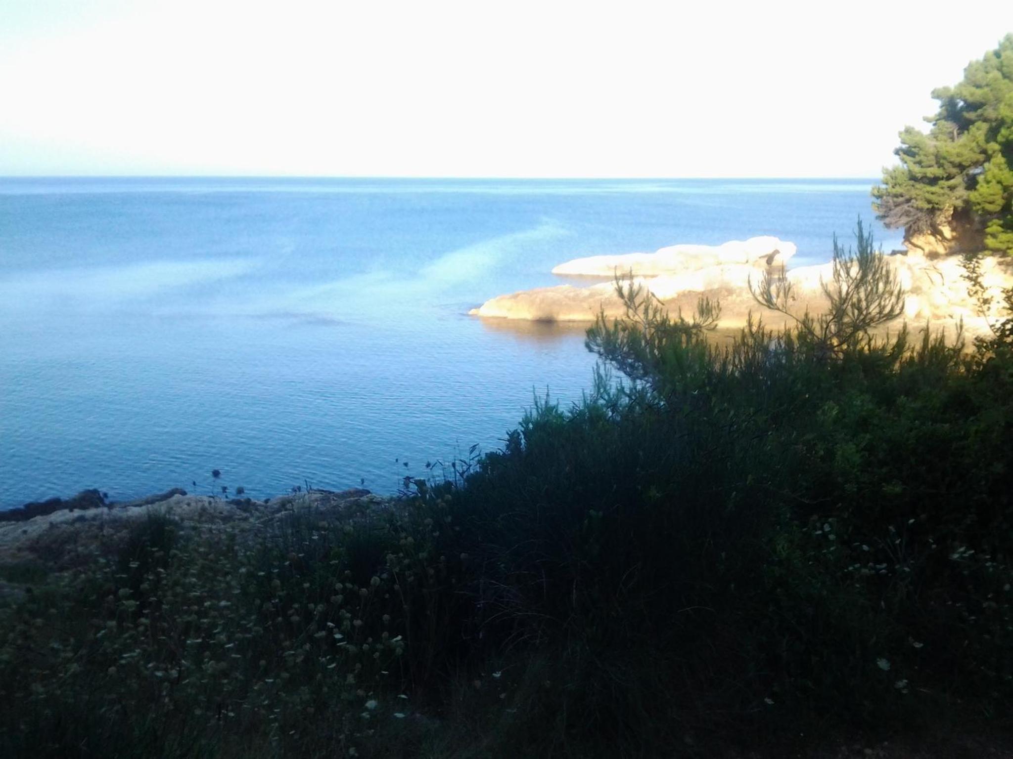 Photo 29