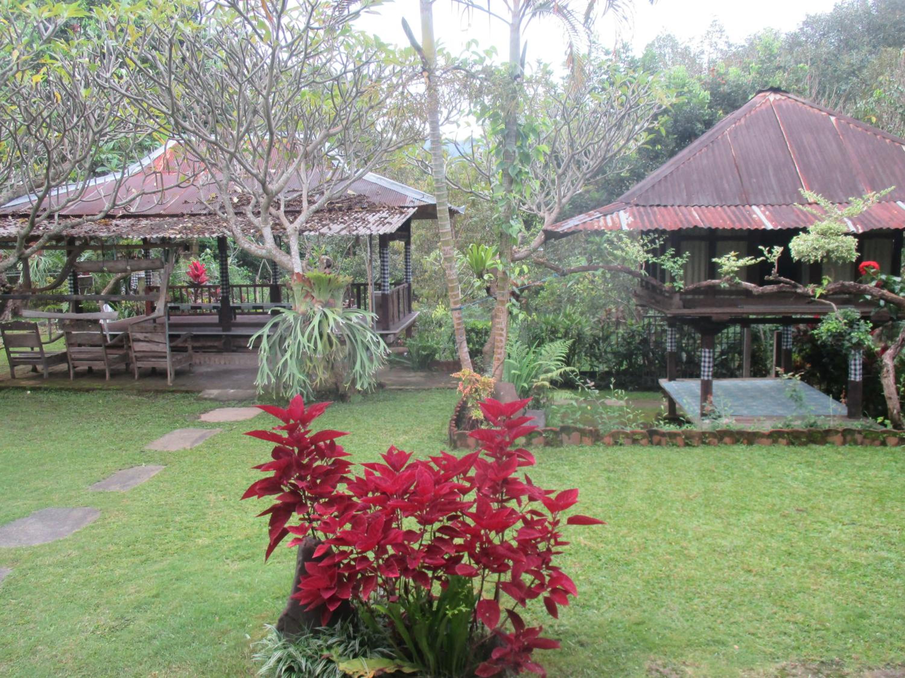 DWM ESA di Kubu Homestay By Reccoma