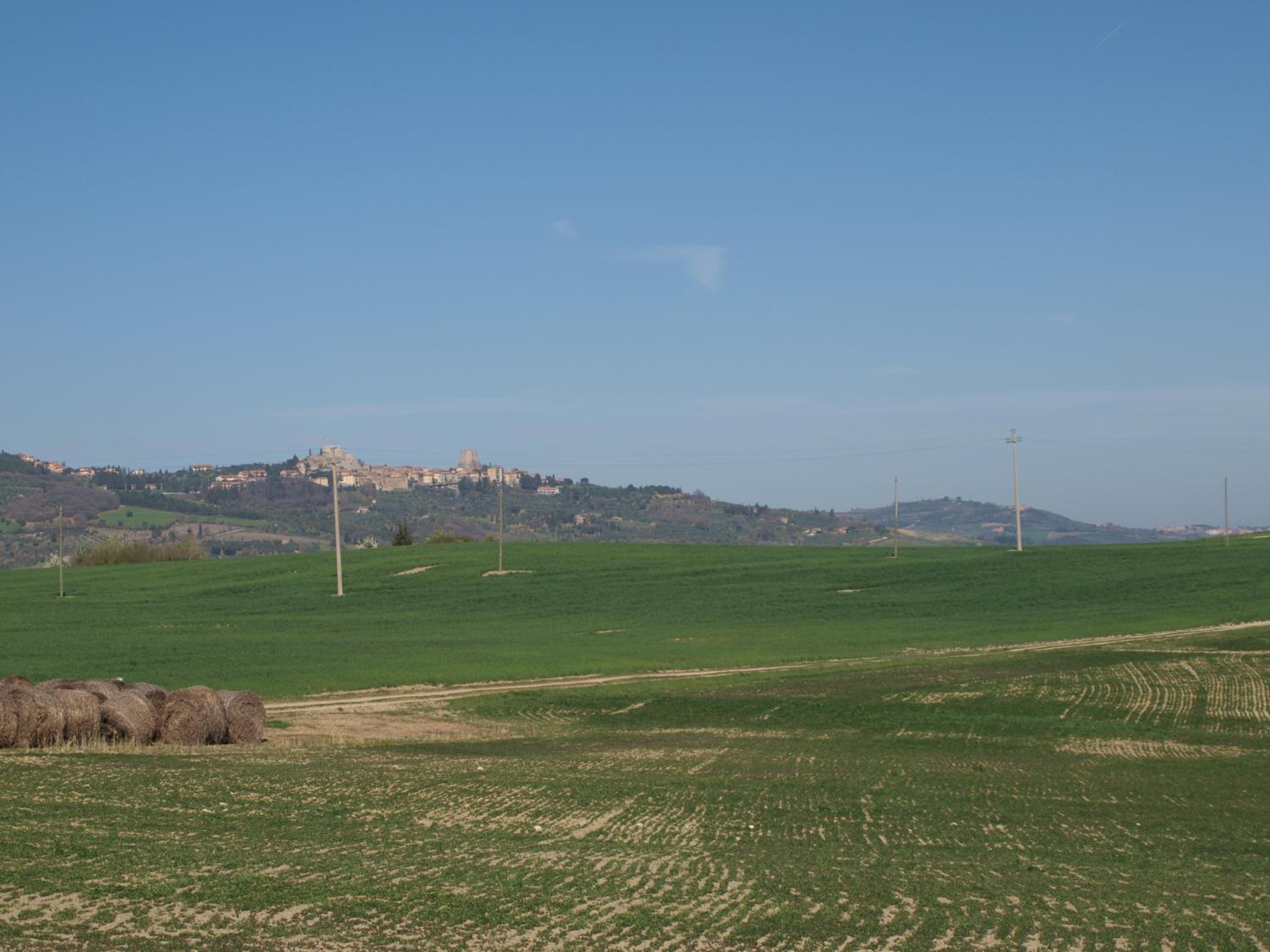 Photo 49