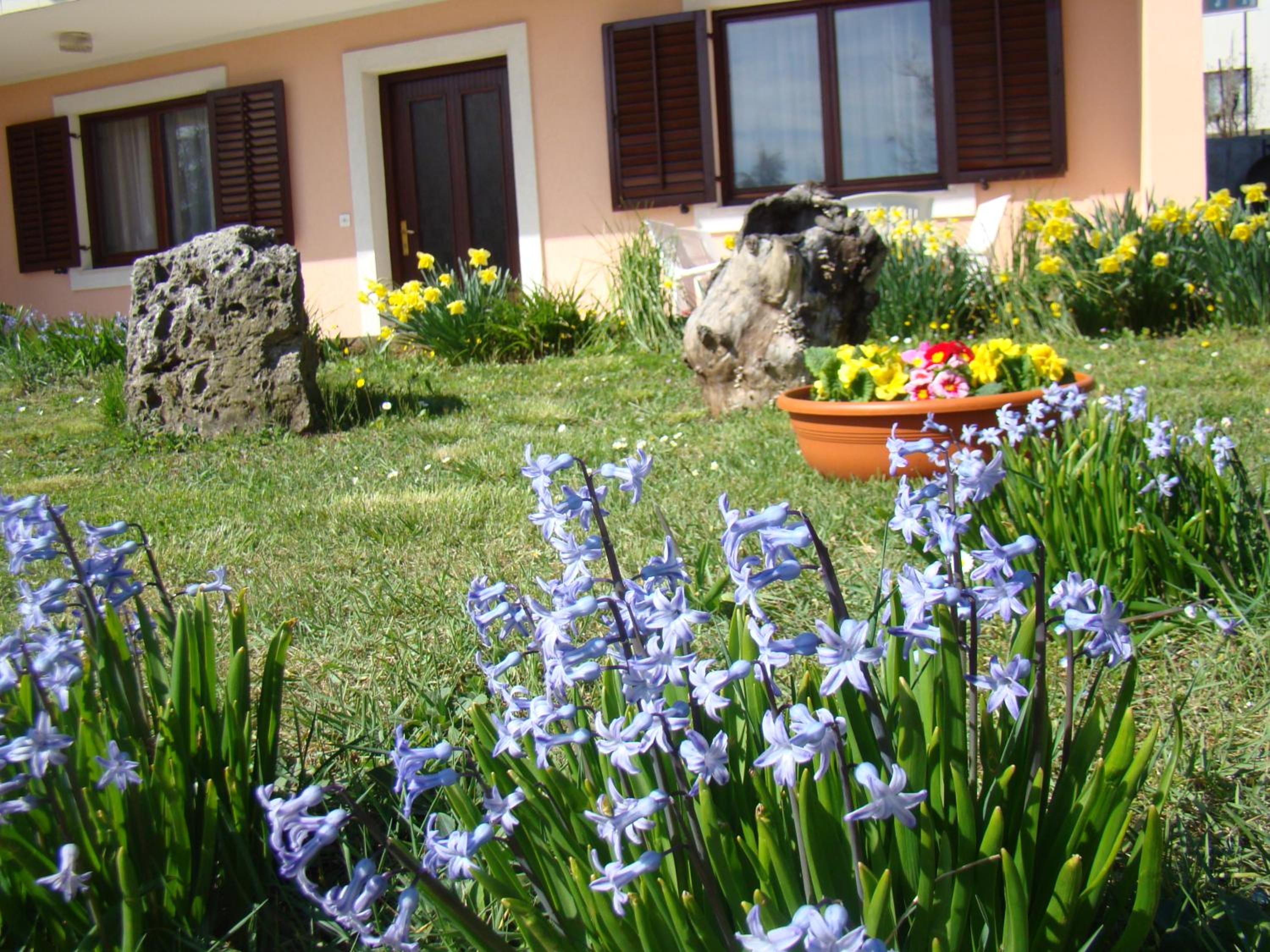 Apartman Poldrugovac view 2