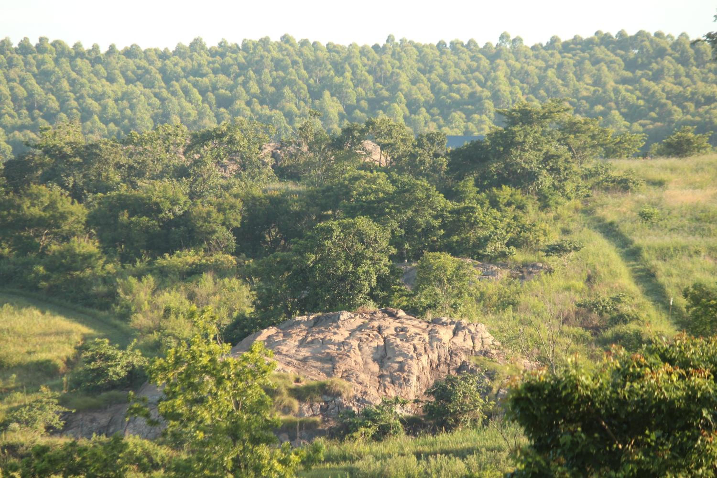 Klipkopje Guest Cottage