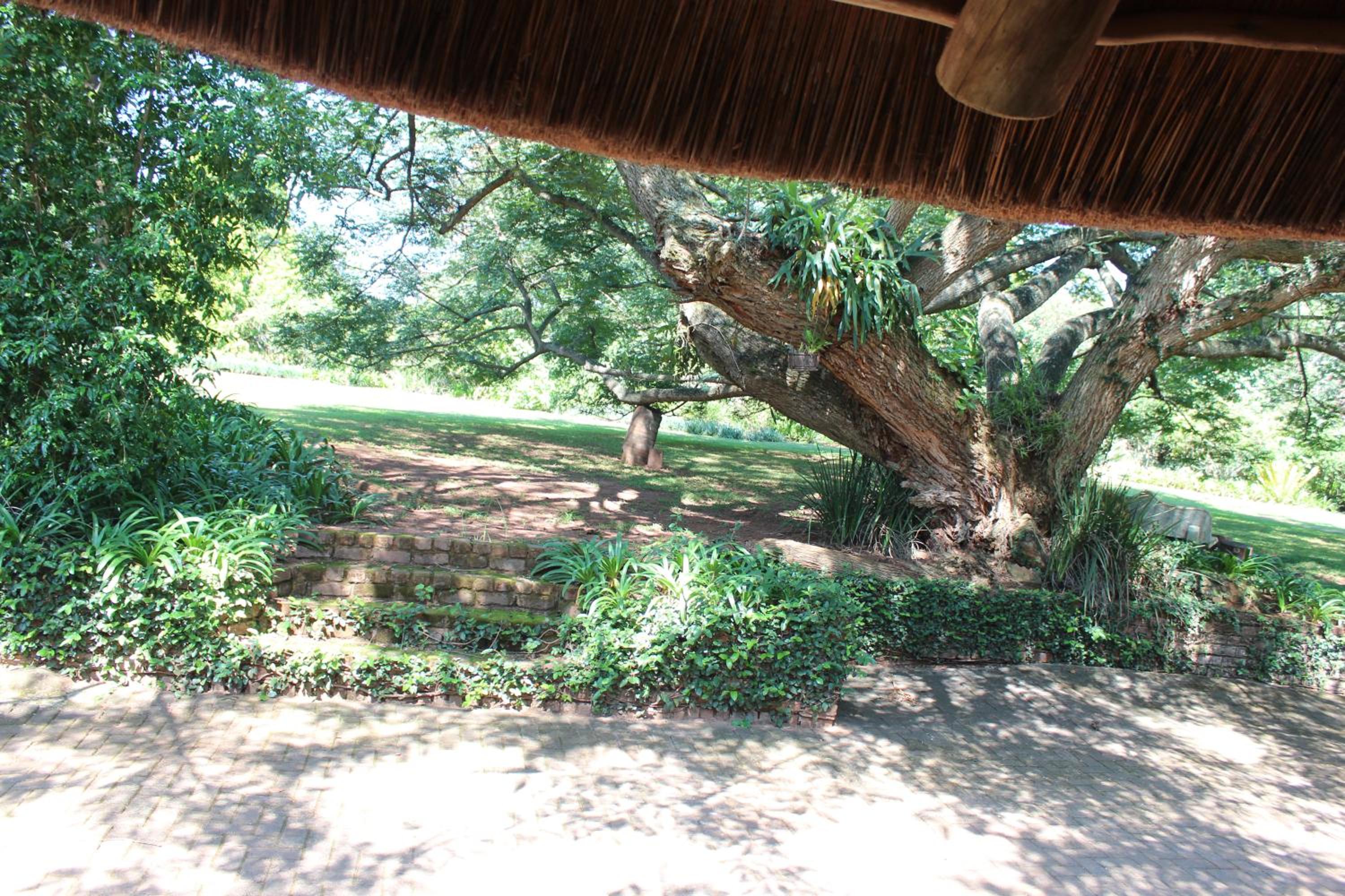 Klipkopje Guest Cottage
