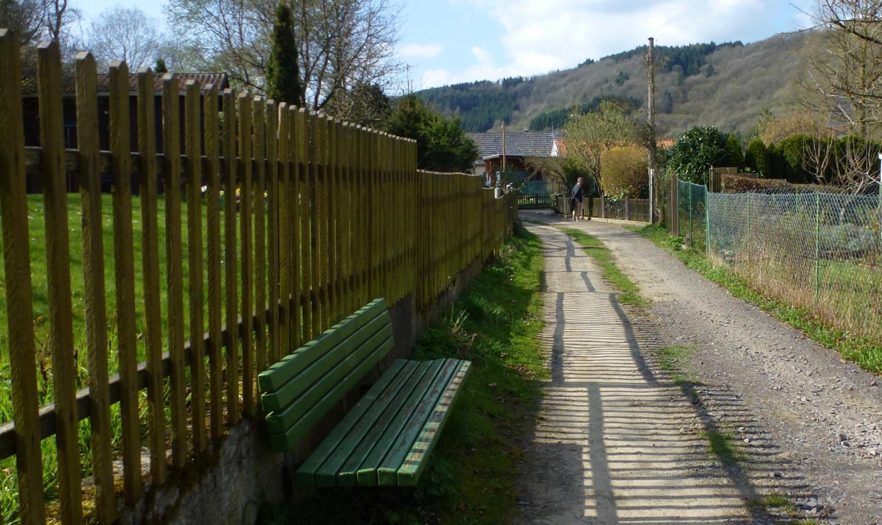 Photo 12