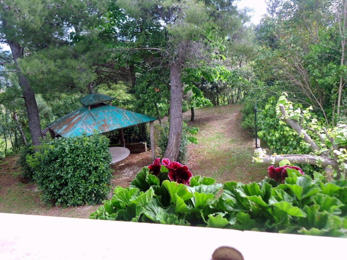 Casa Laura