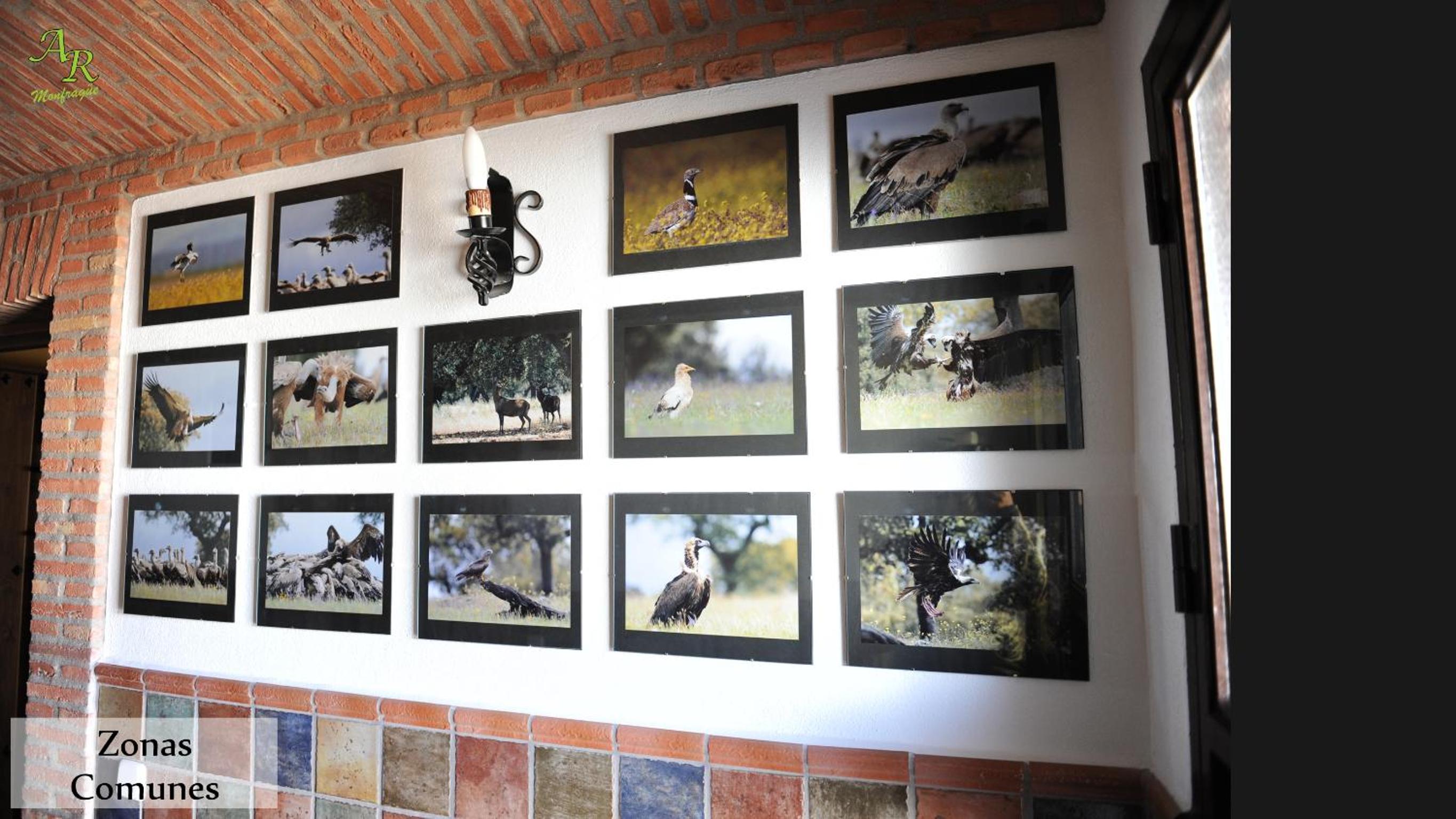 Apartamentos Rurales Monfragüe