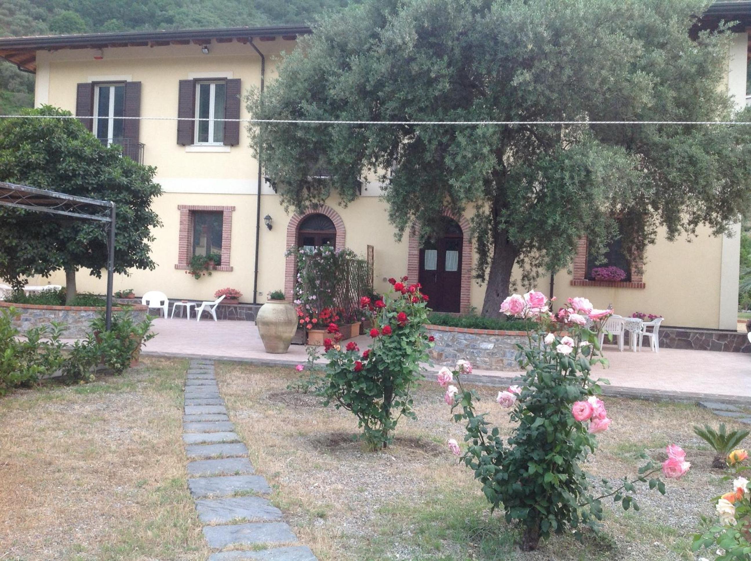 Photo 19