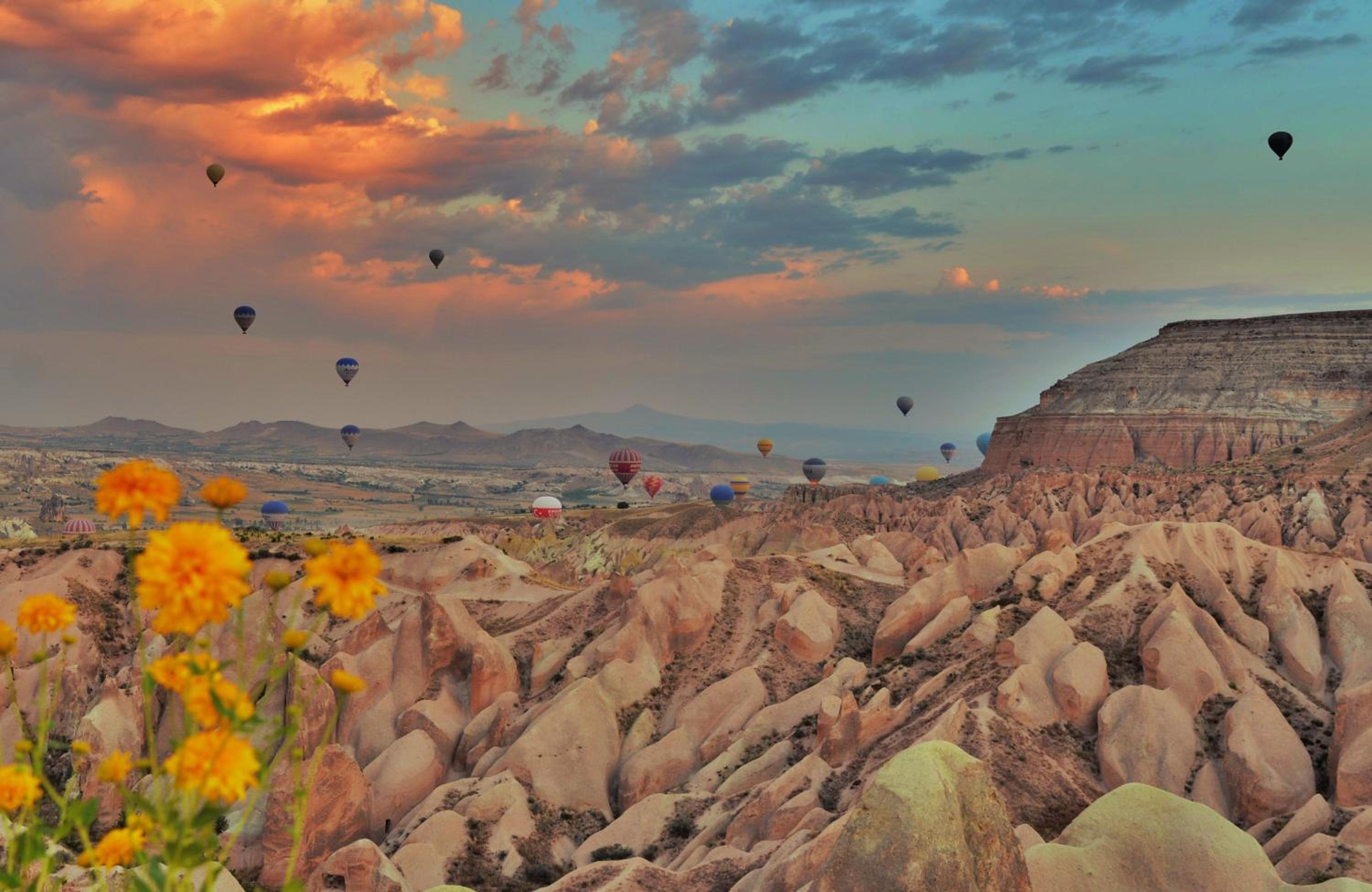 Grand Cave Suites - Image 150