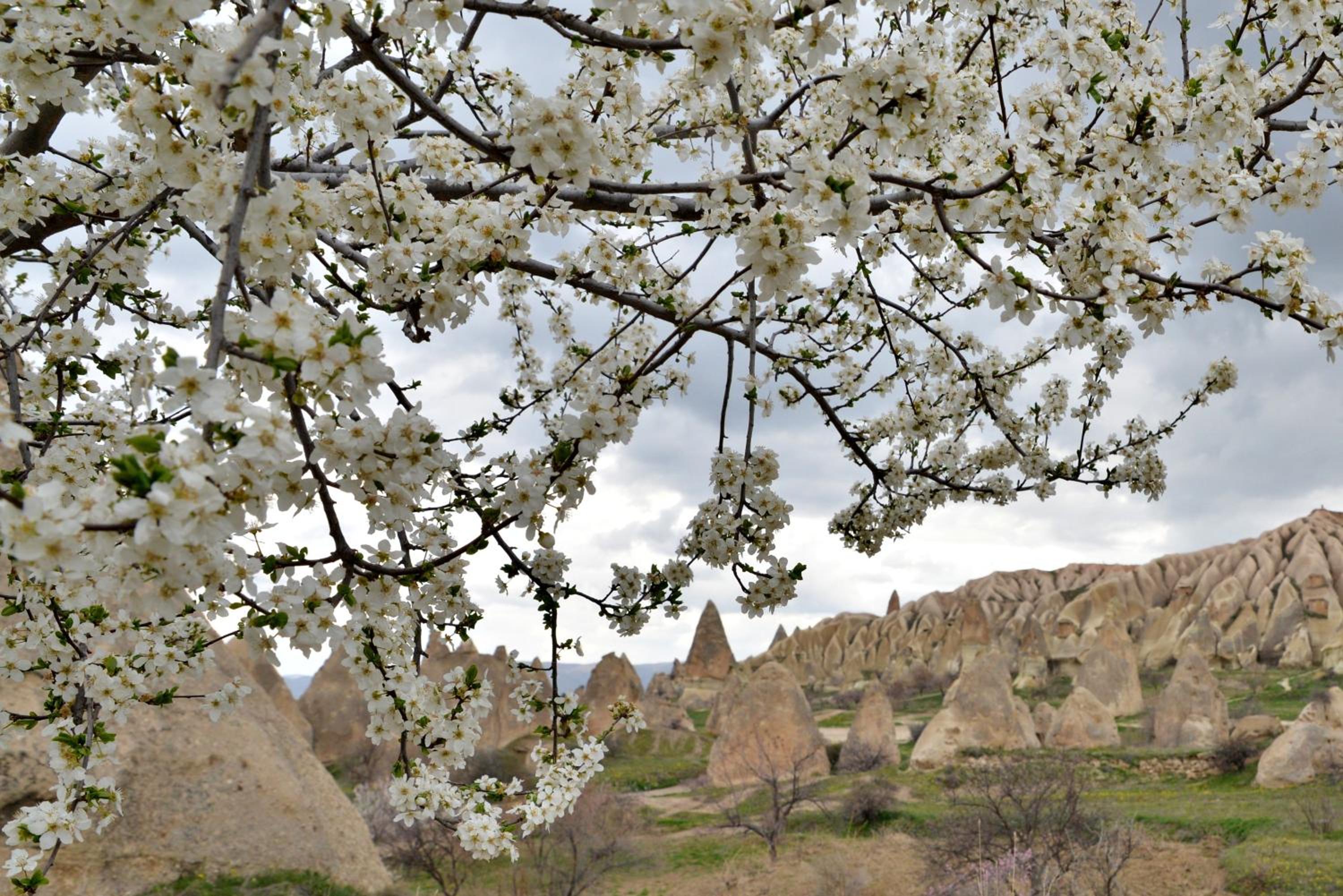 Grand Cave Suites - Image 140