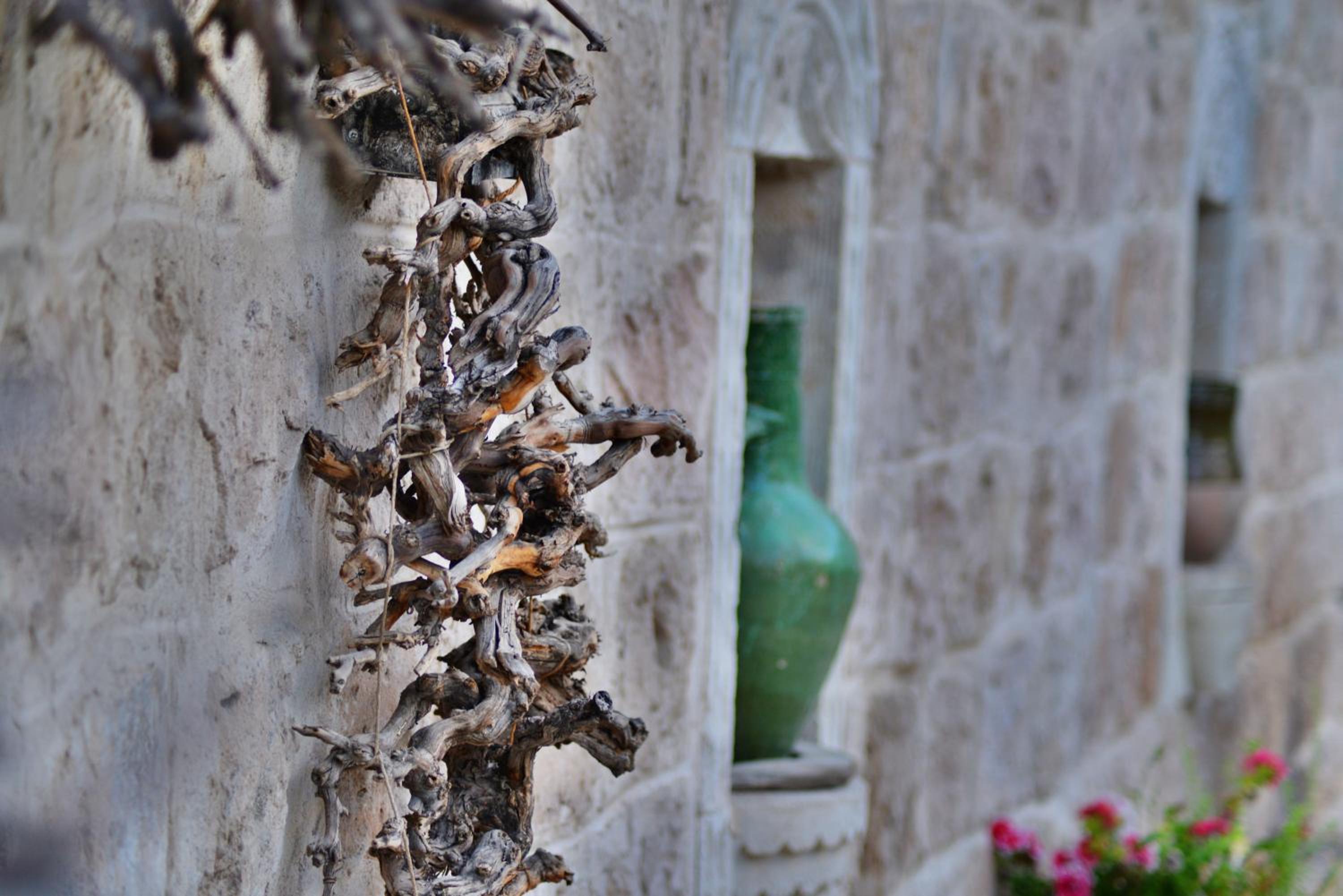 Grand Cave Suites - Image 145