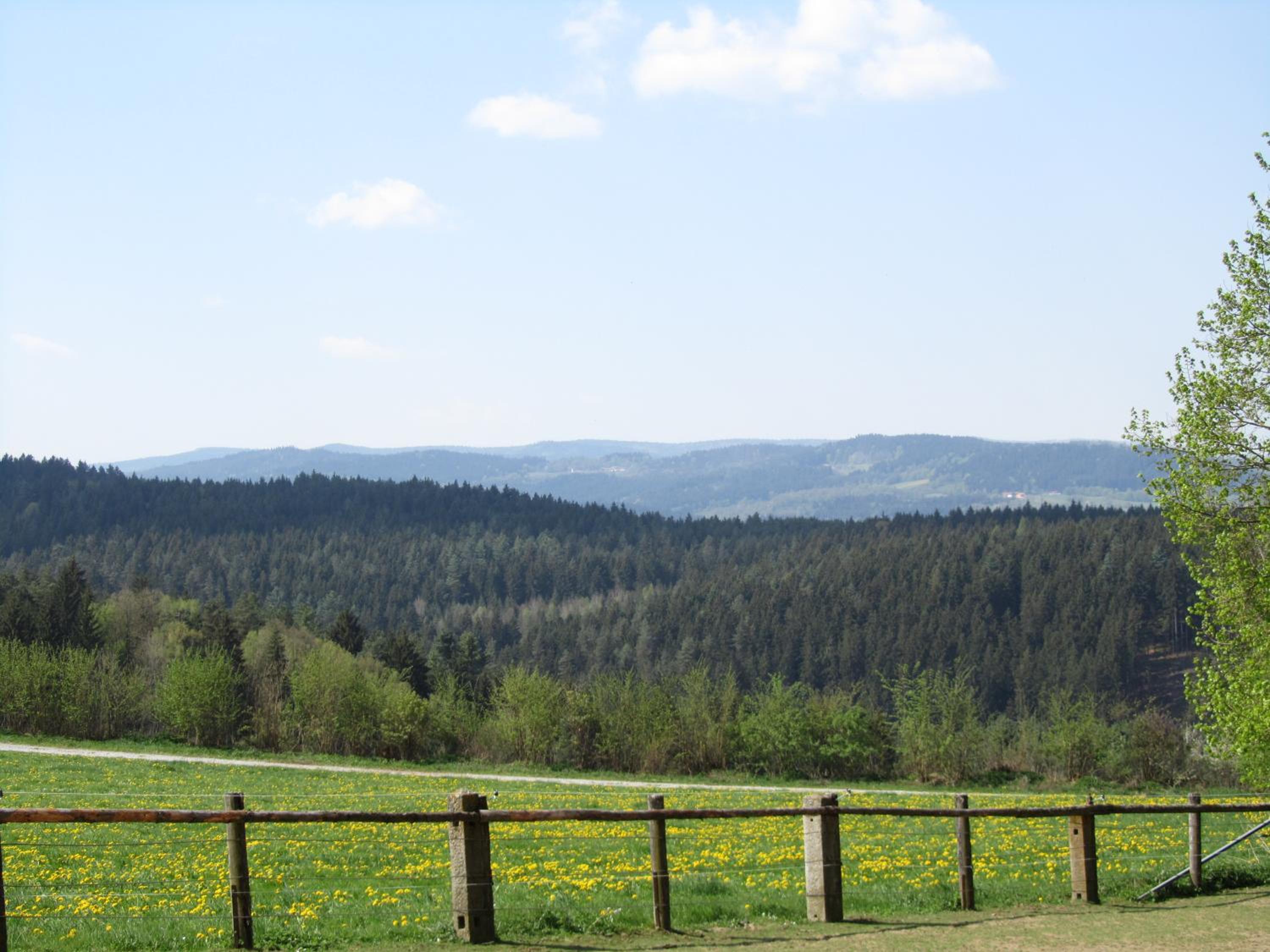 Ferienhaus Zopfhäusl
