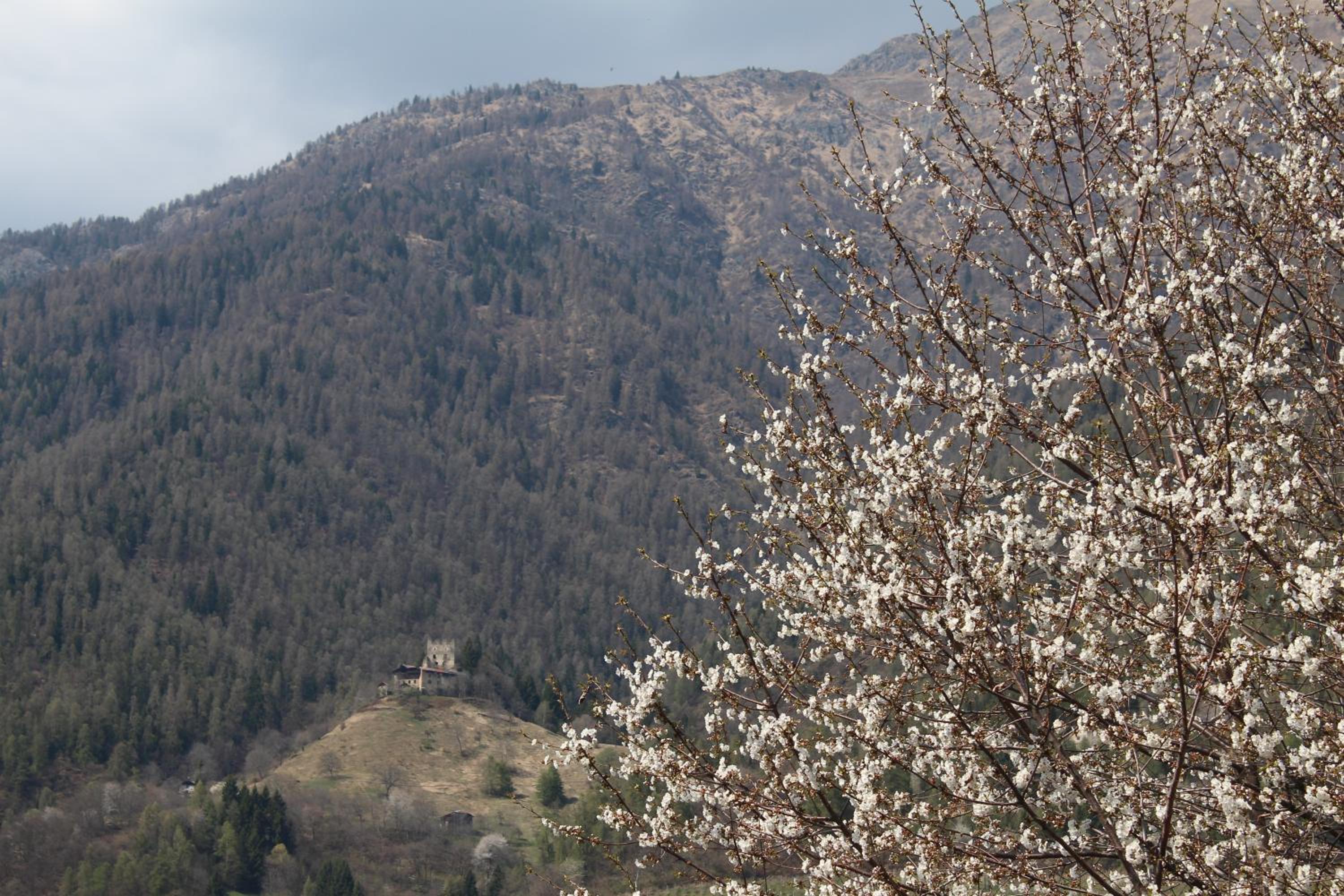 Photo 43
