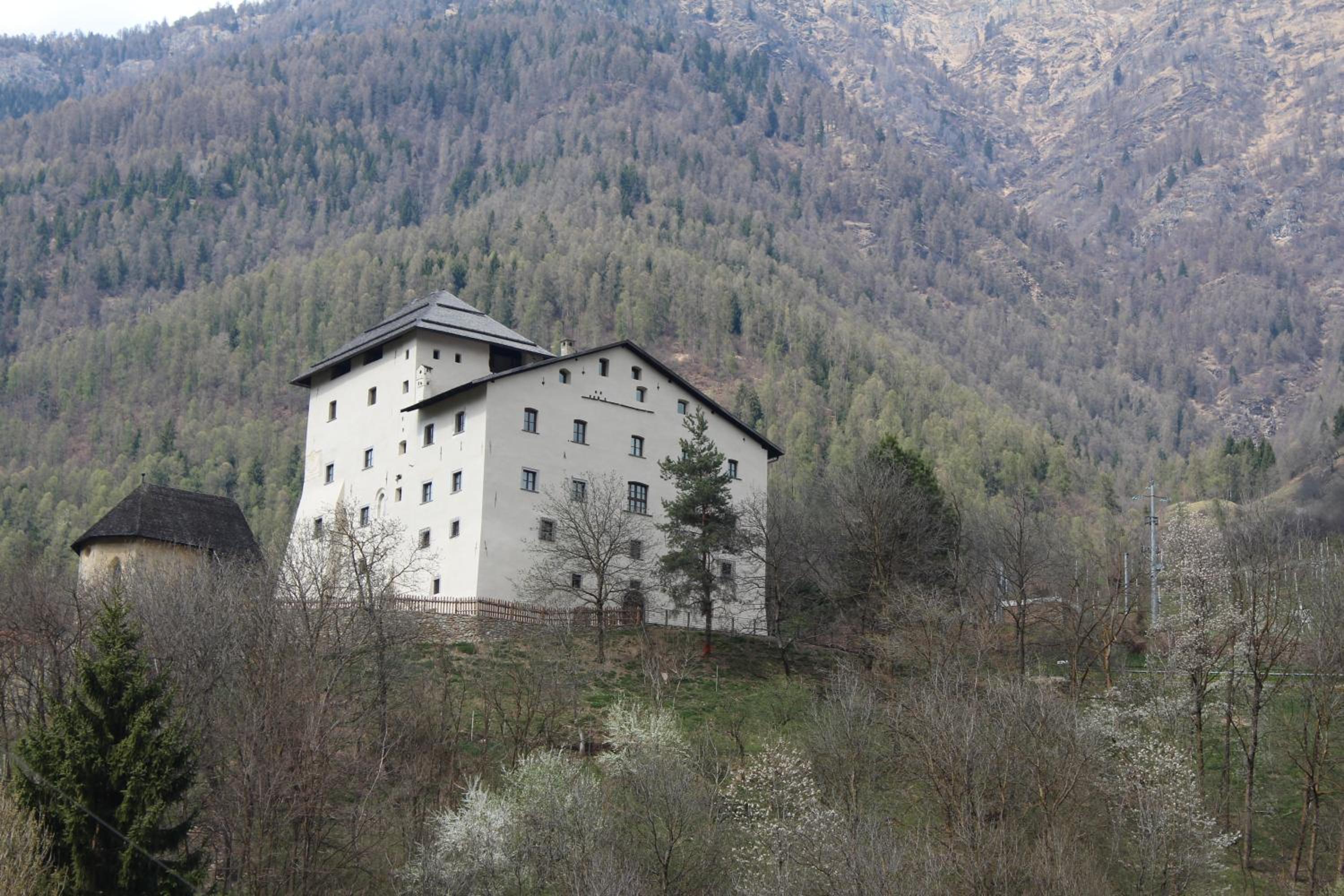 Photo 40