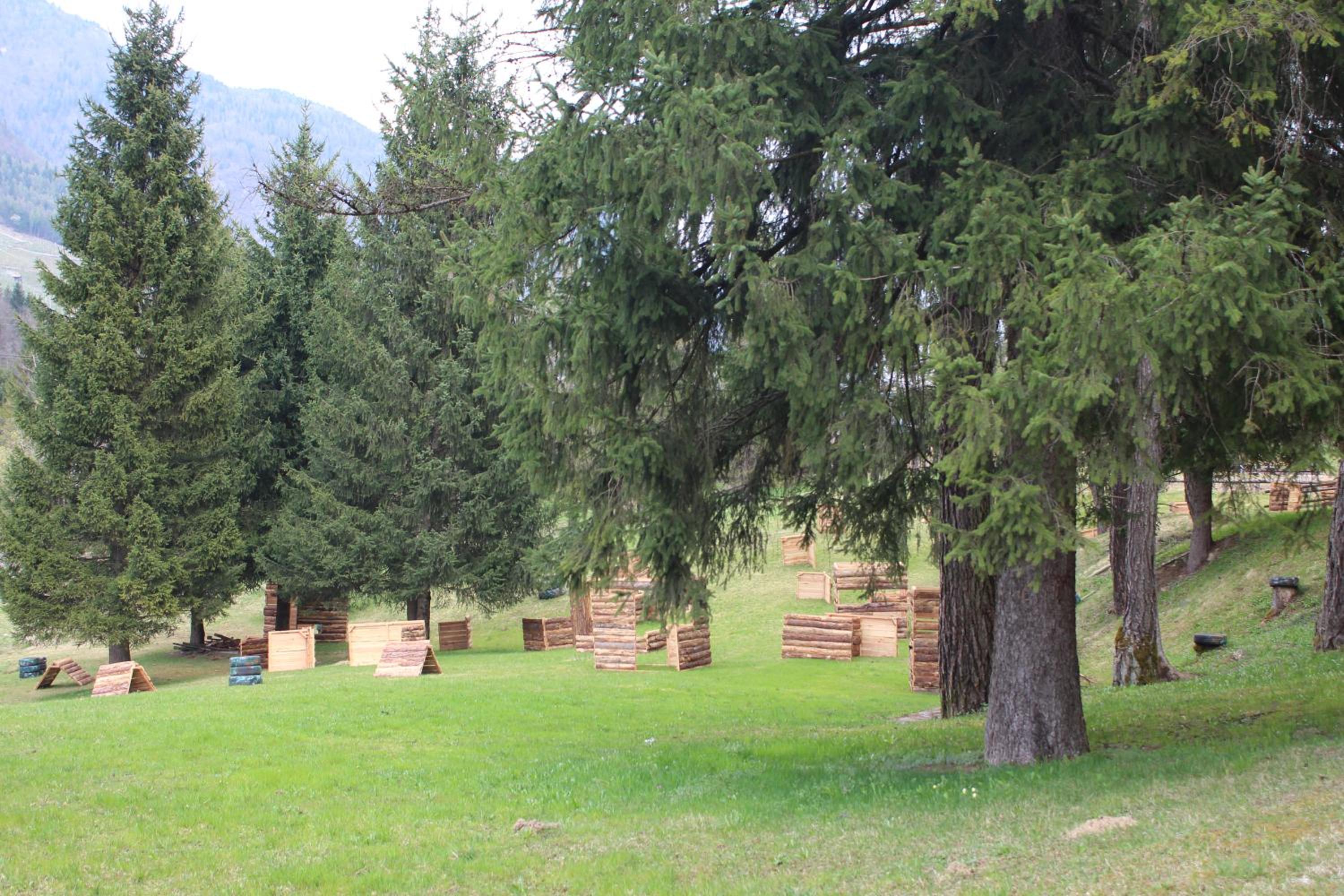 Photo 46